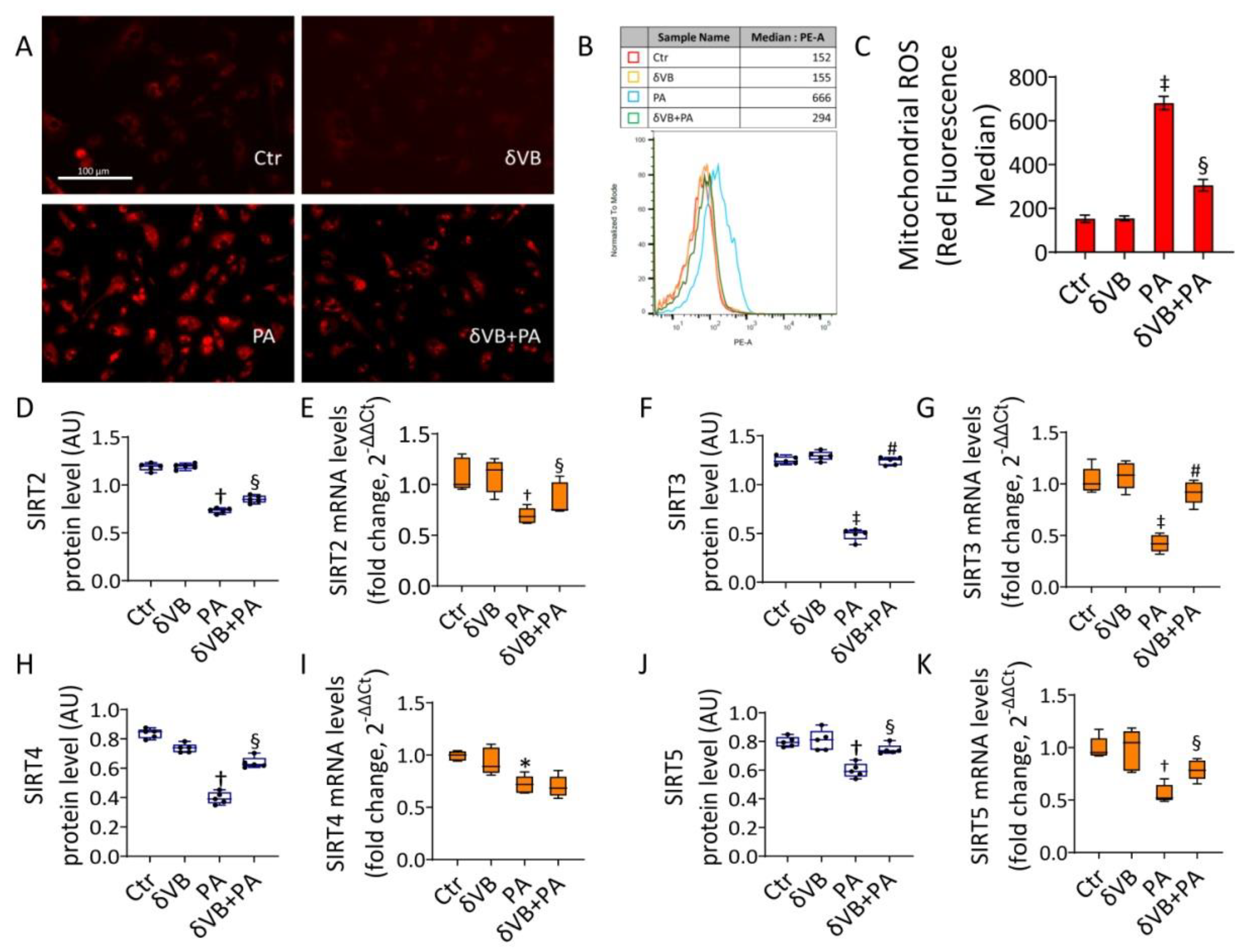Antioxidants 11 01611 g007