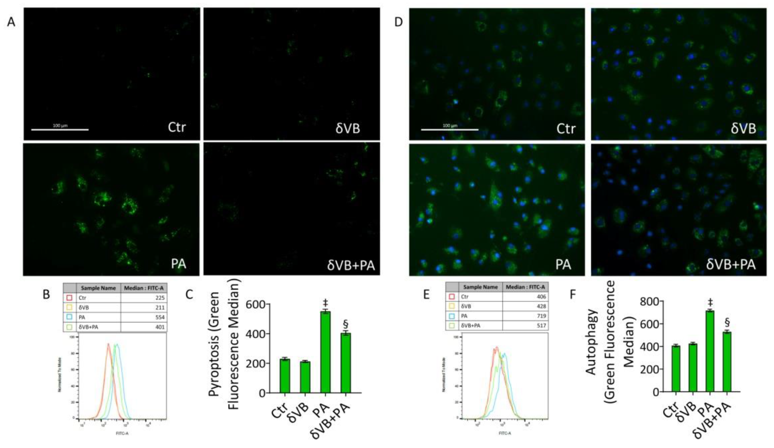 Antioxidants 11 01611 g008