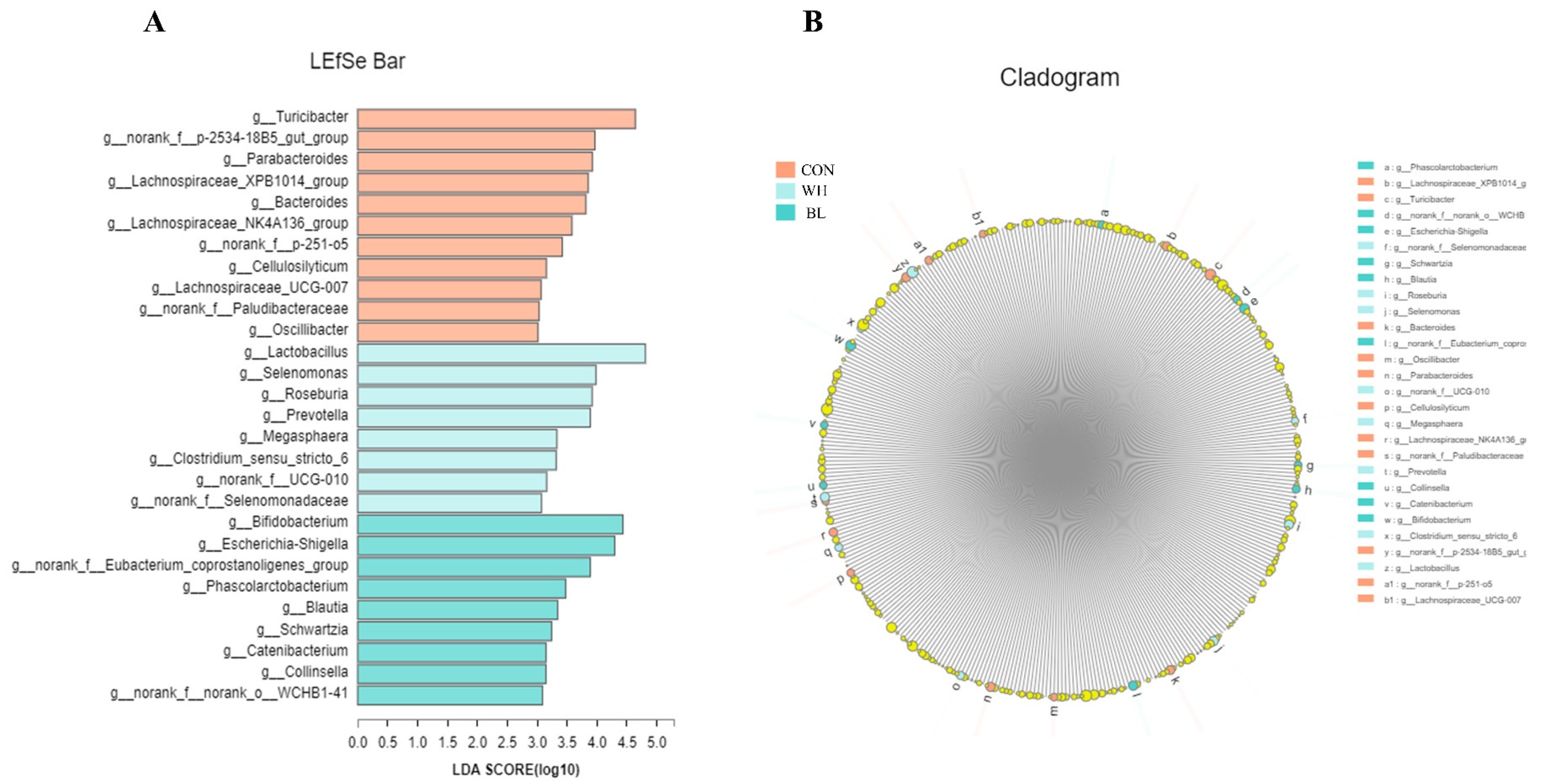 Antioxidants 11 01614 g004