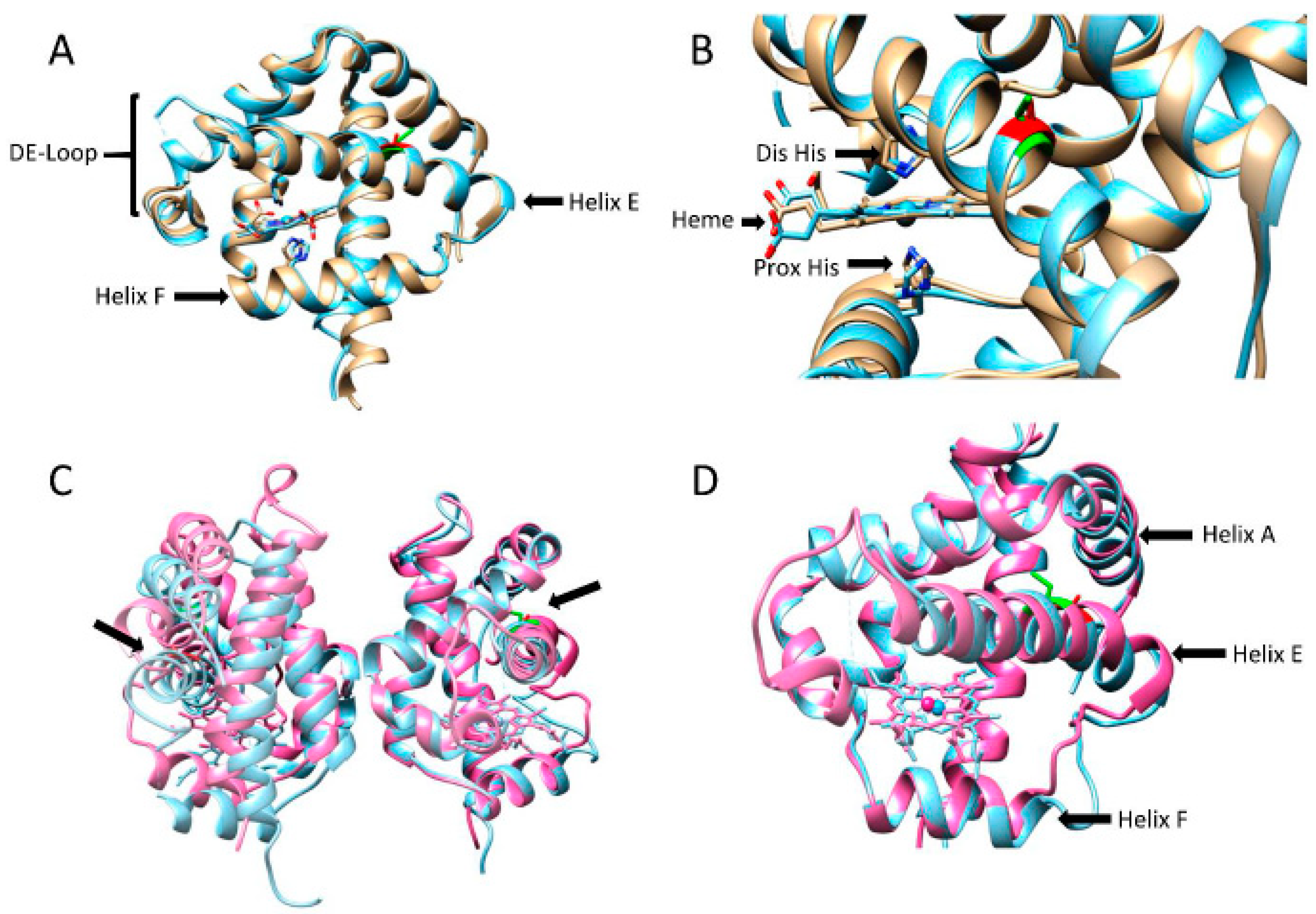 Antioxidants 11 01615 g002 Antioxidants 11 01615 g002