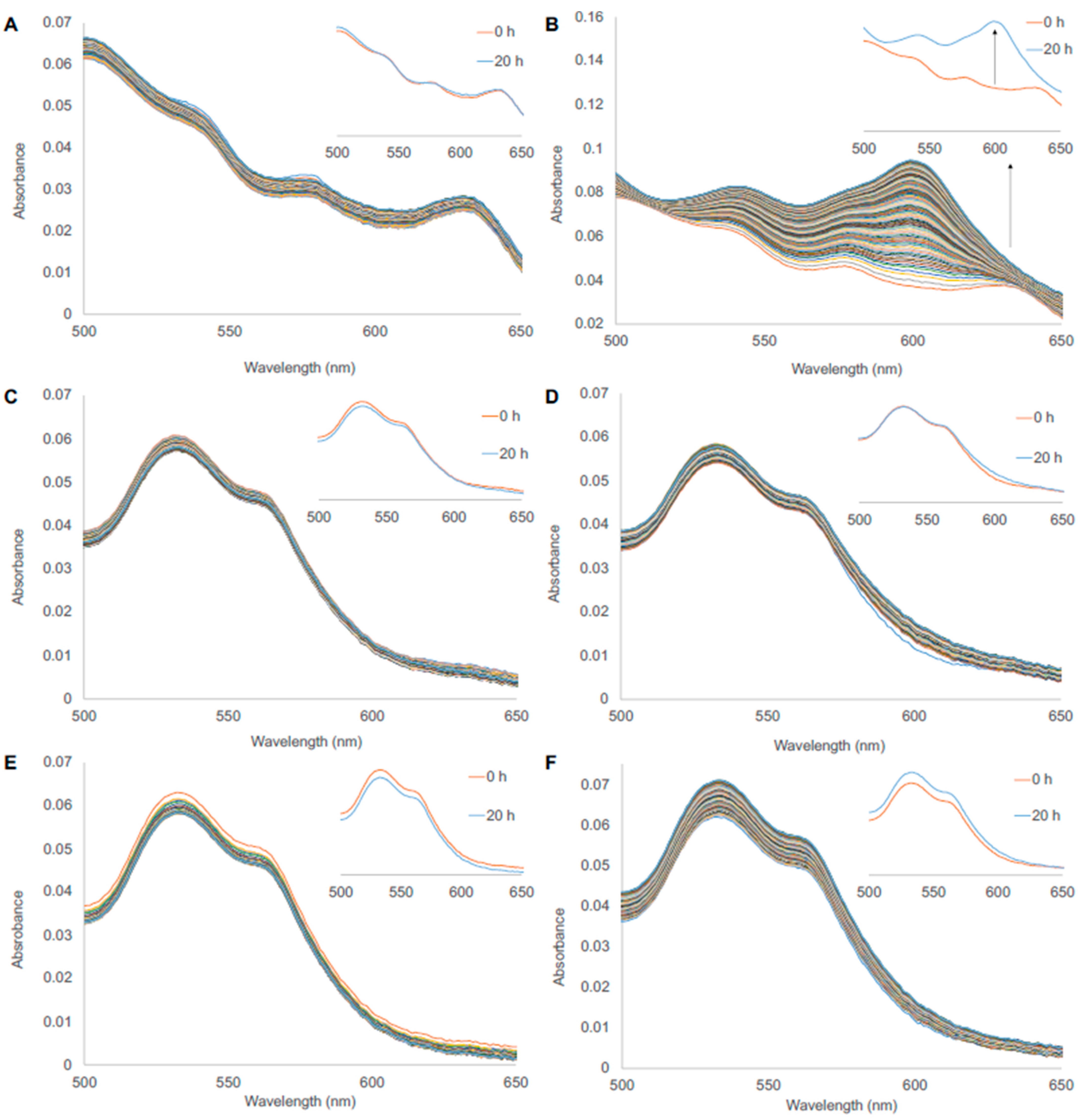 Antioxidants 11 01615 g004 Antioxidants 11 01615 g004