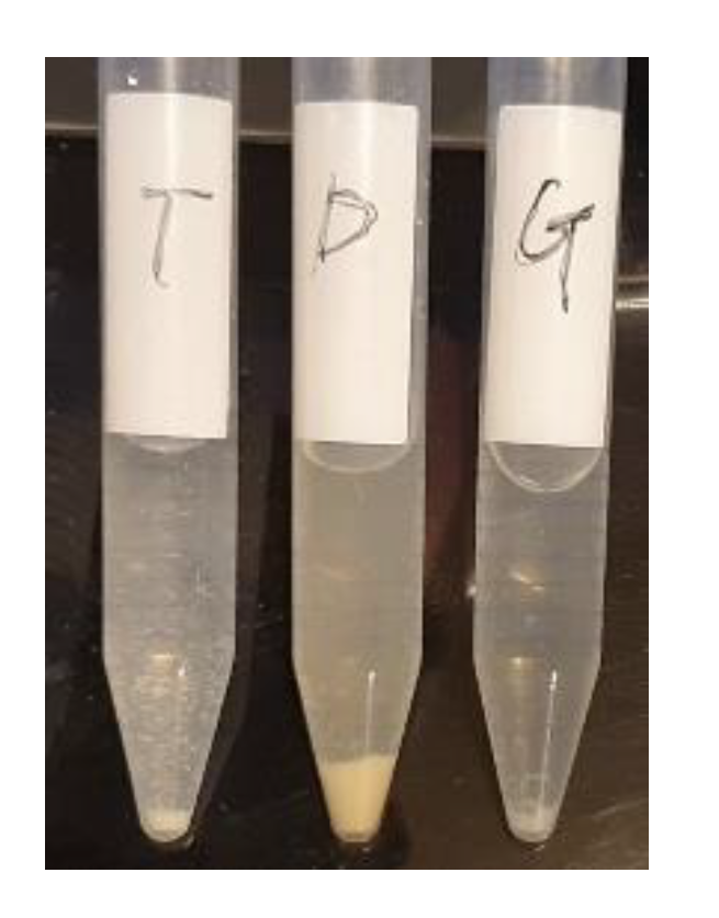 Antioxidants 11 01618 g008