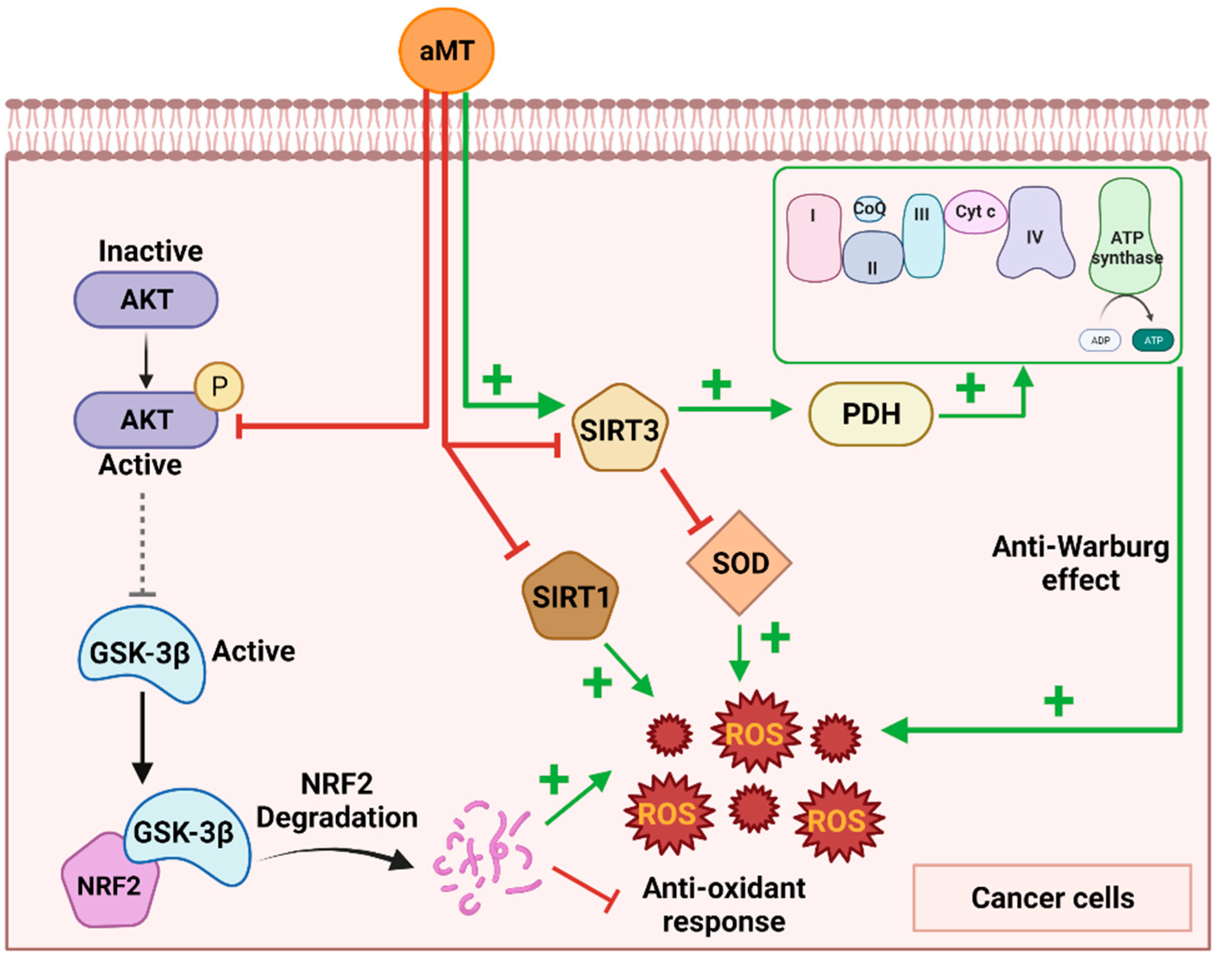 Antioxidants 11 01621 g002