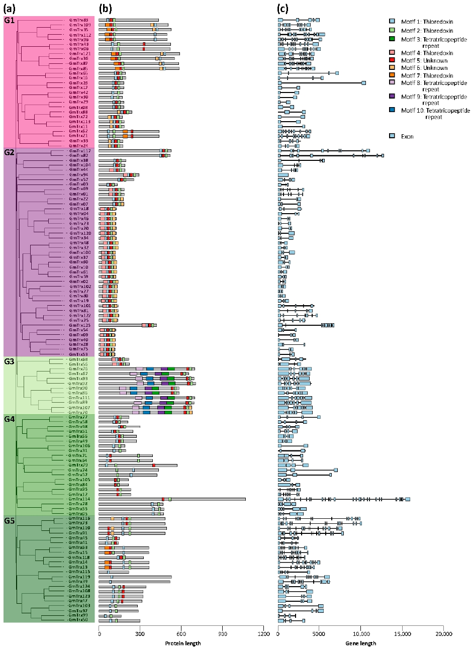 Antioxidants 11 01622 g002