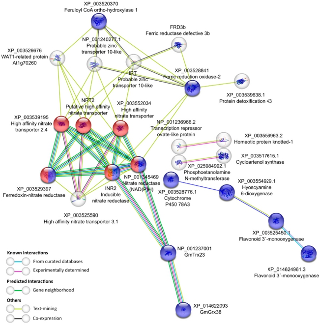 Antioxidants 11 01622 g006
