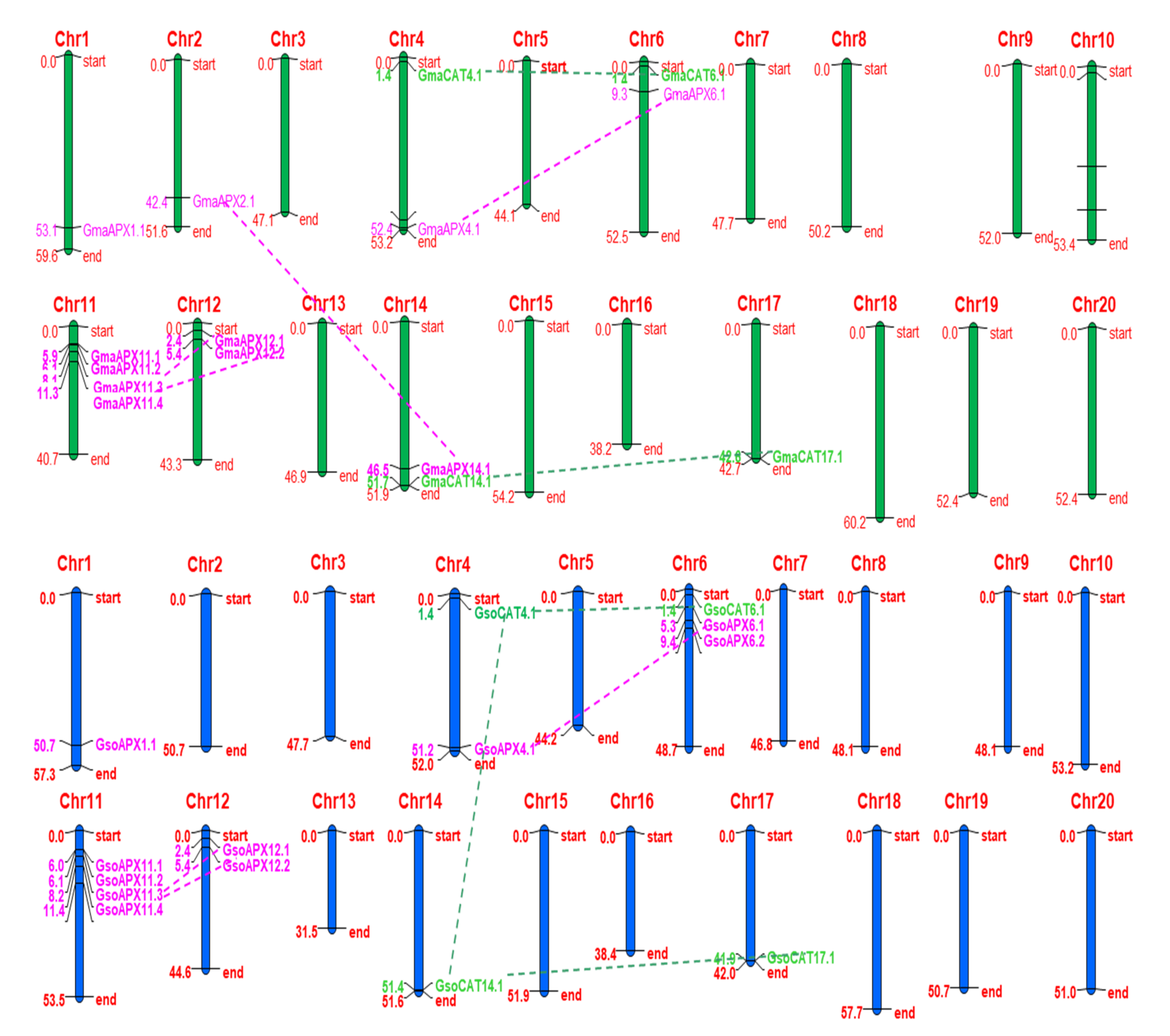 Antioxidants 11 01626 g002