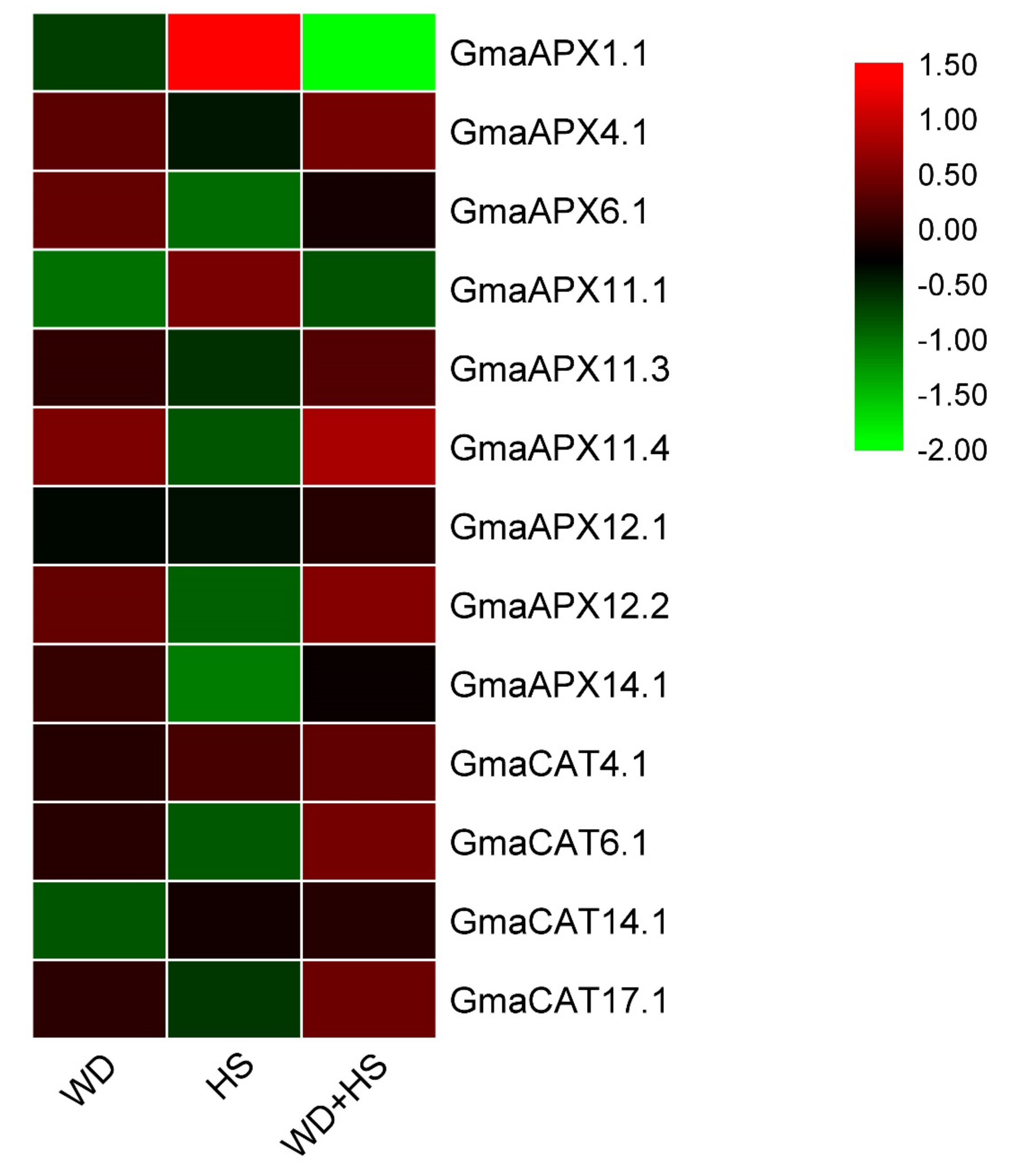 Antioxidants 11 01626 g008
