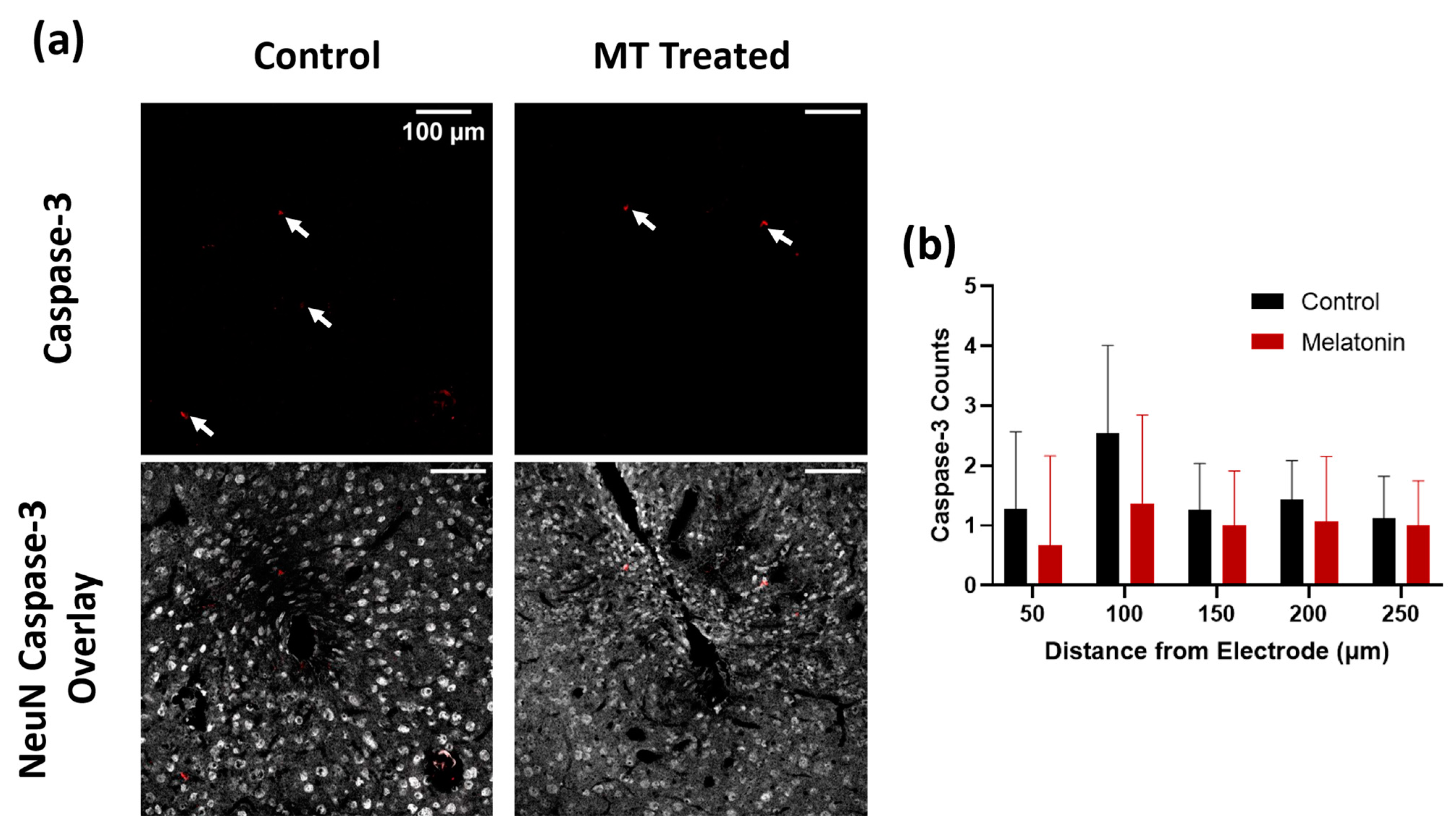 Antioxidants 11 01628 g002