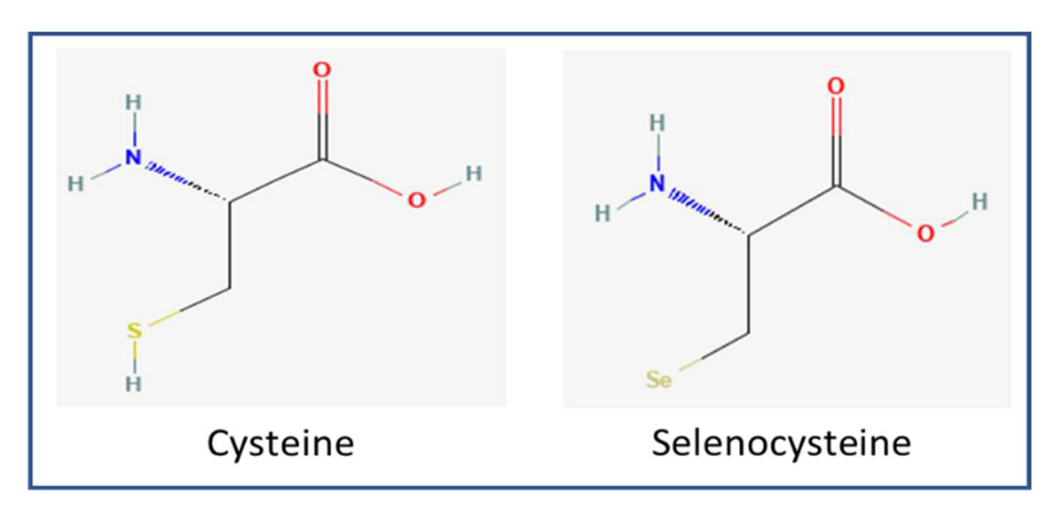 Antioxidants 11 01630 g001