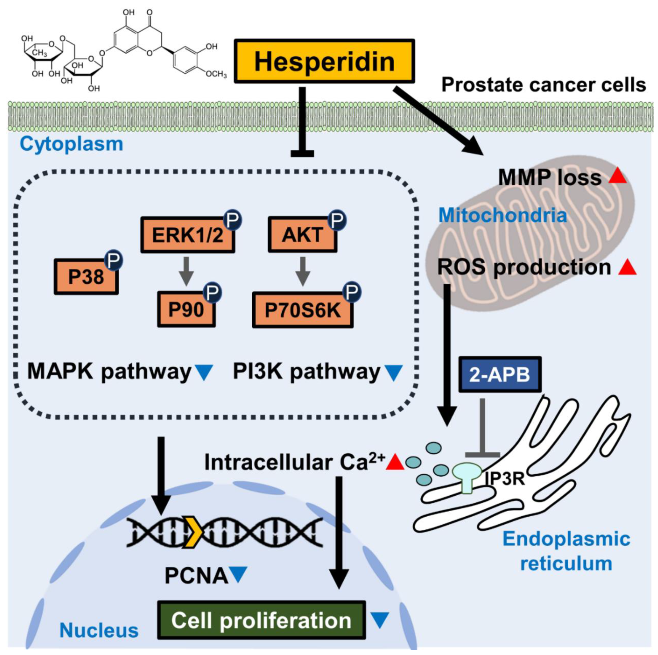 Antioxidants 11 01633 g009