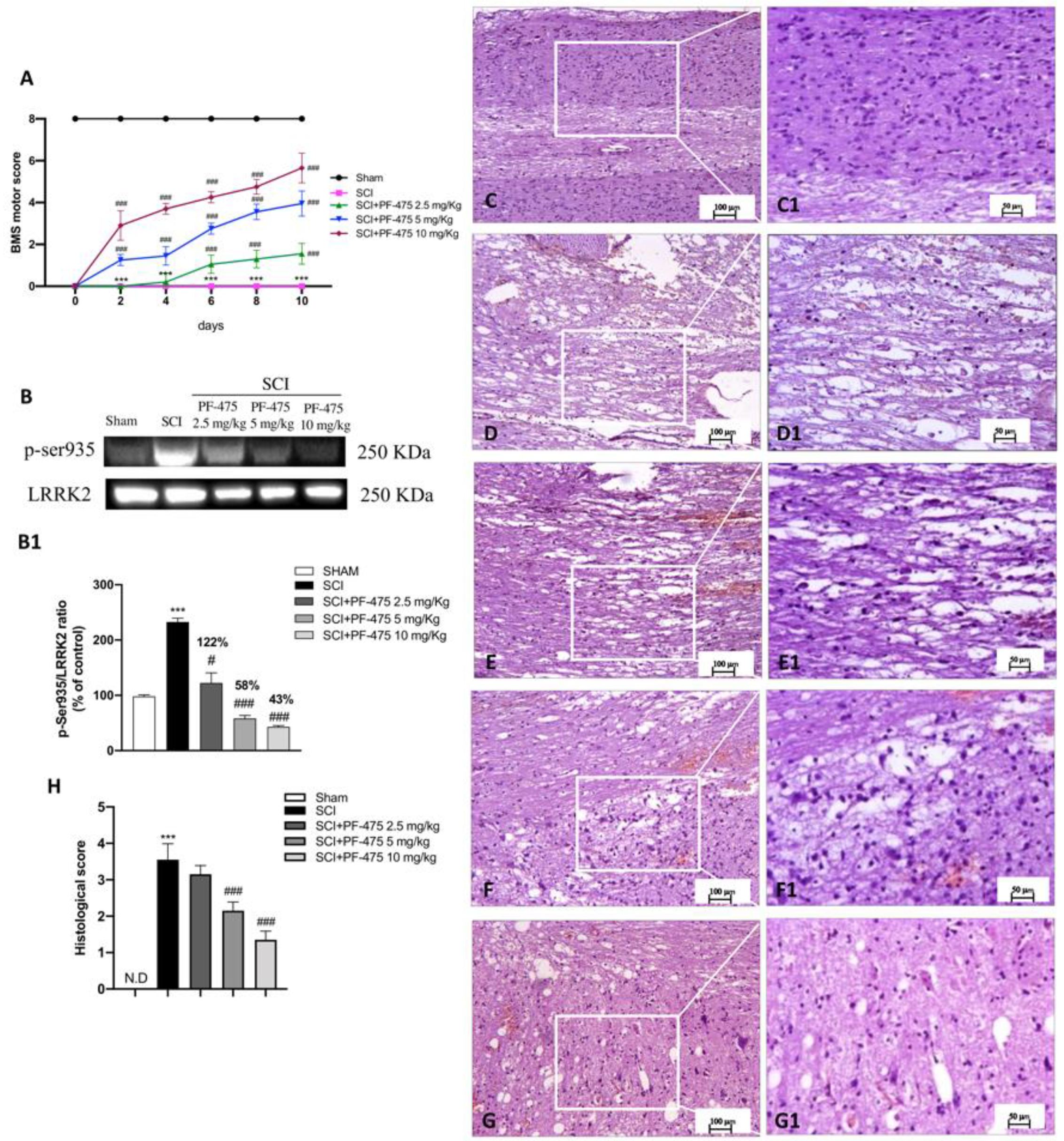 Antioxidants 11 01634 g001