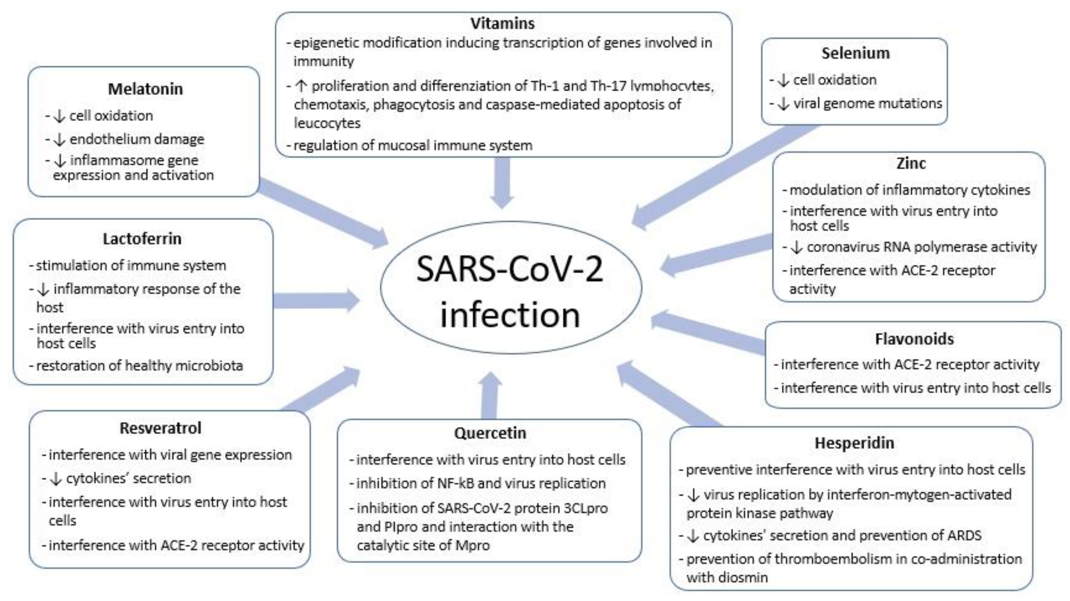 Antioxidants 11 01638 g001