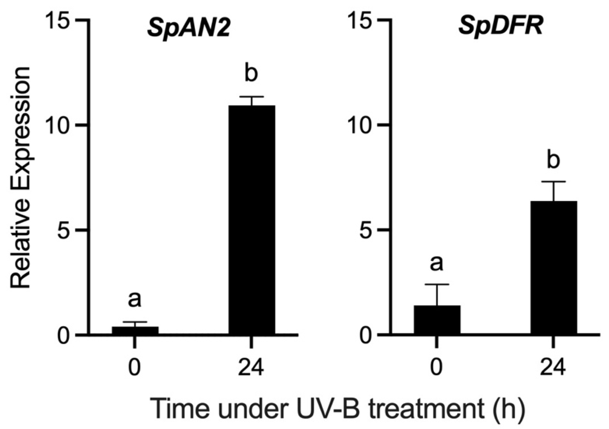 Antioxidants 11 01639 g006