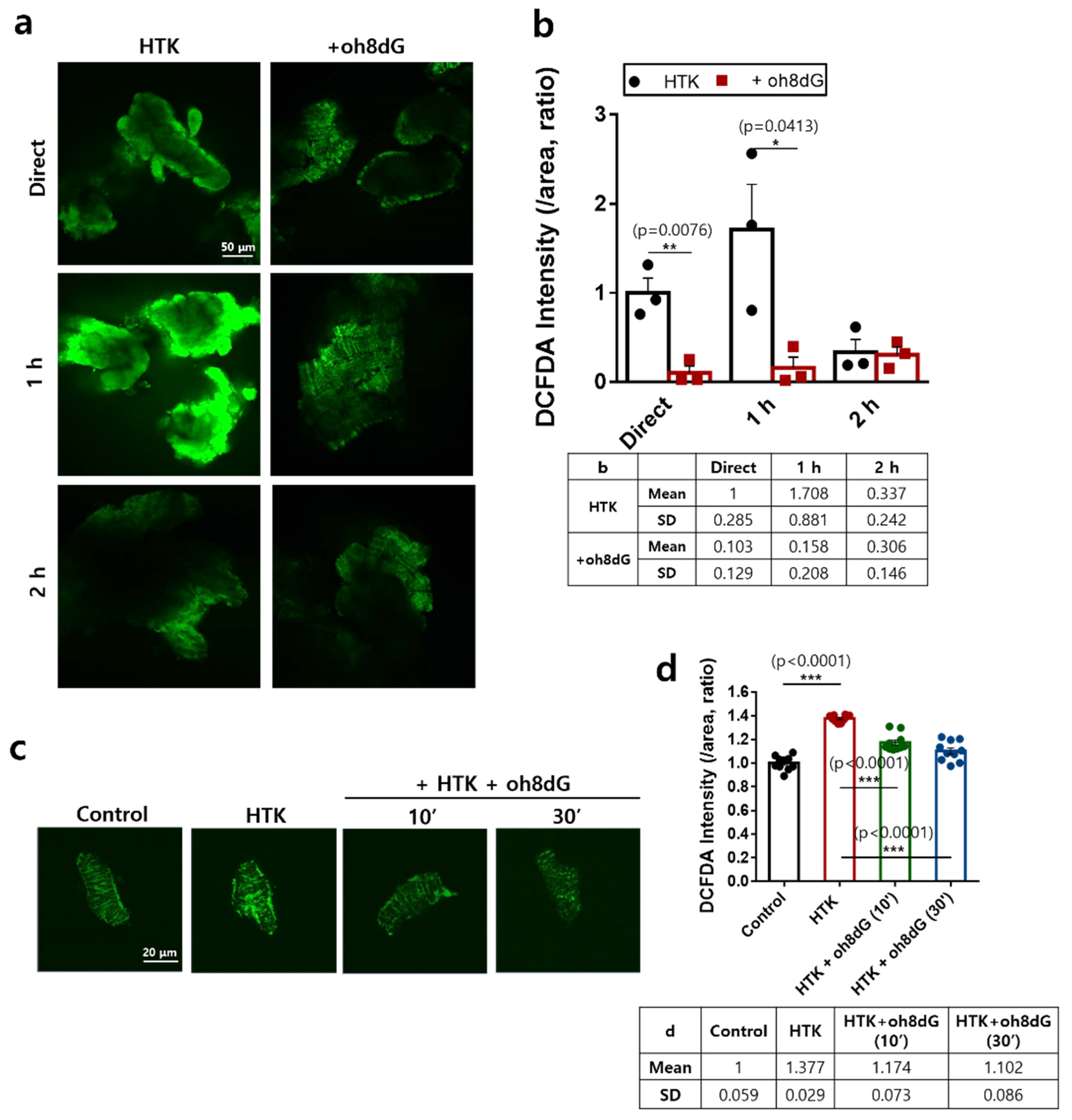 Antioxidants 11 01641 g001