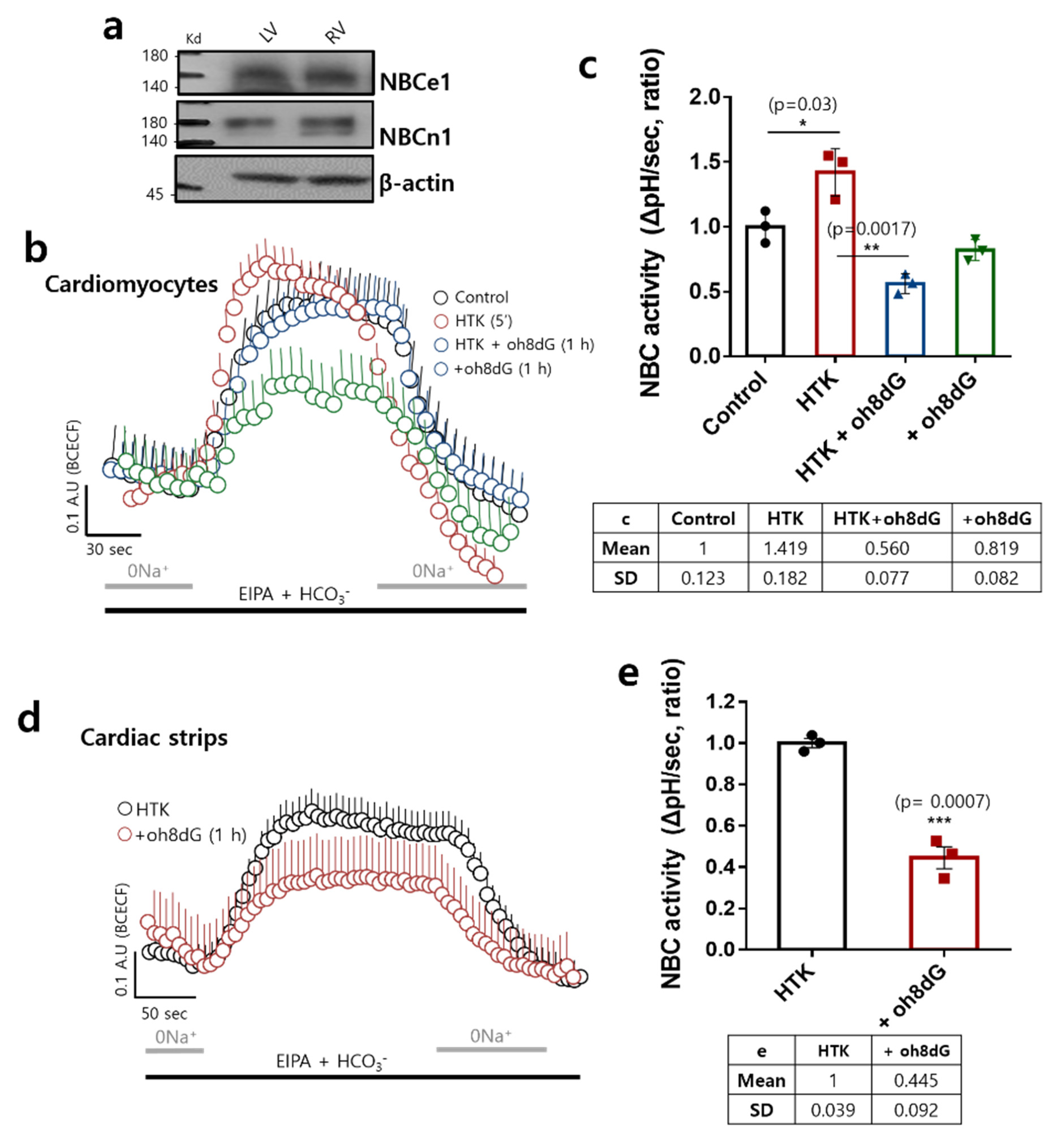 Antioxidants 11 01641 g003
