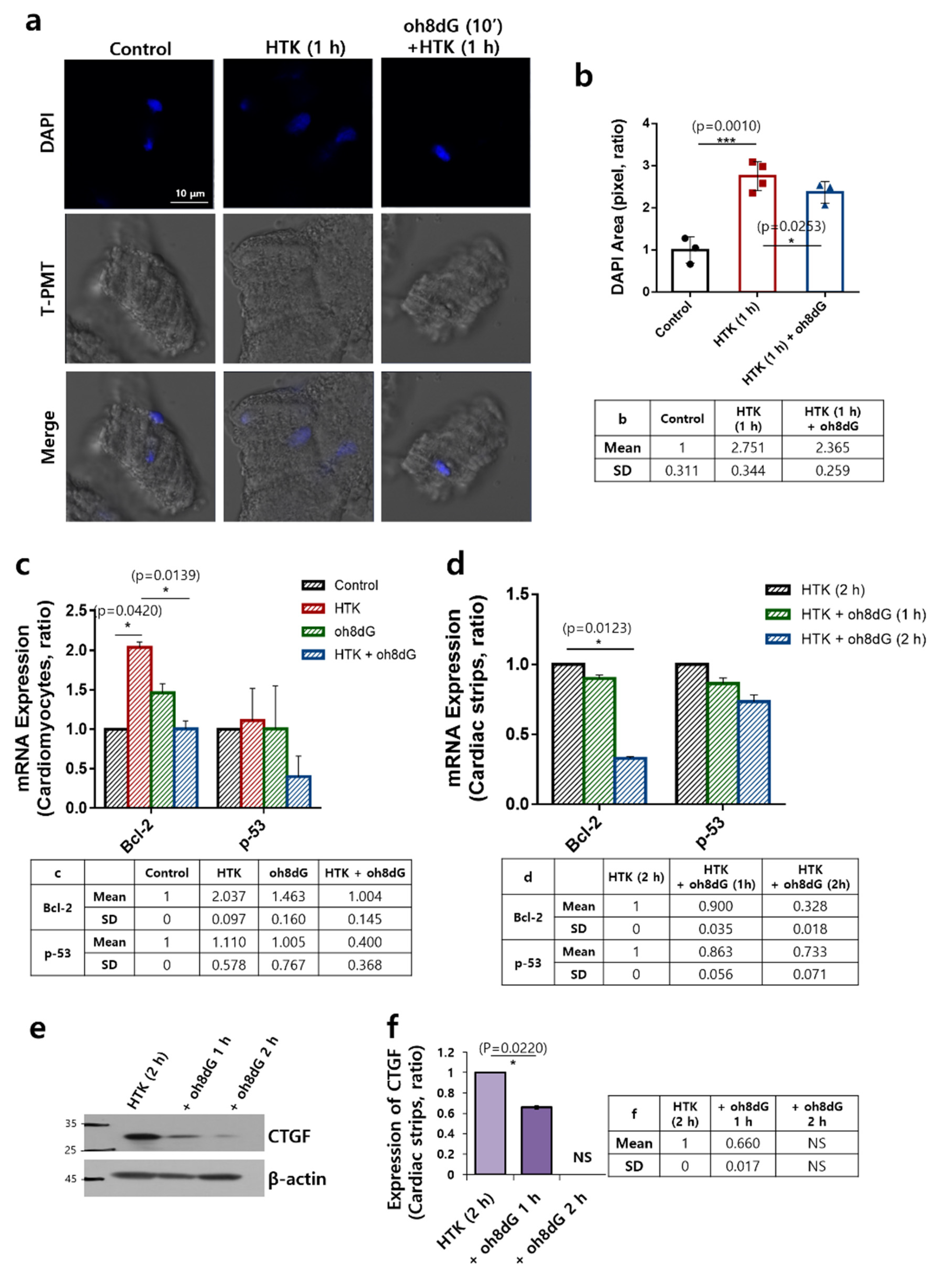 Antioxidants 11 01641 g004