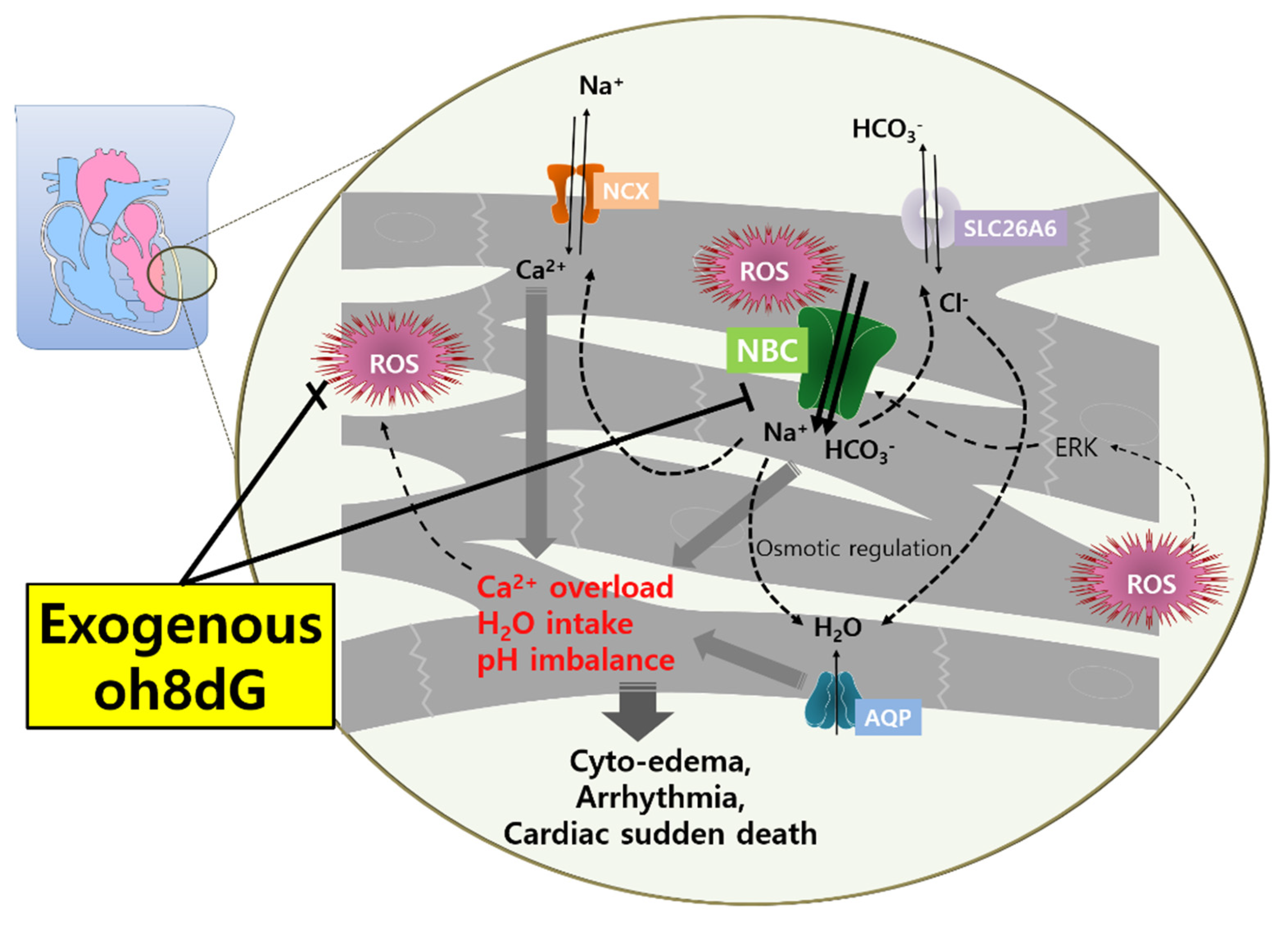 Antioxidants 11 01641 g006