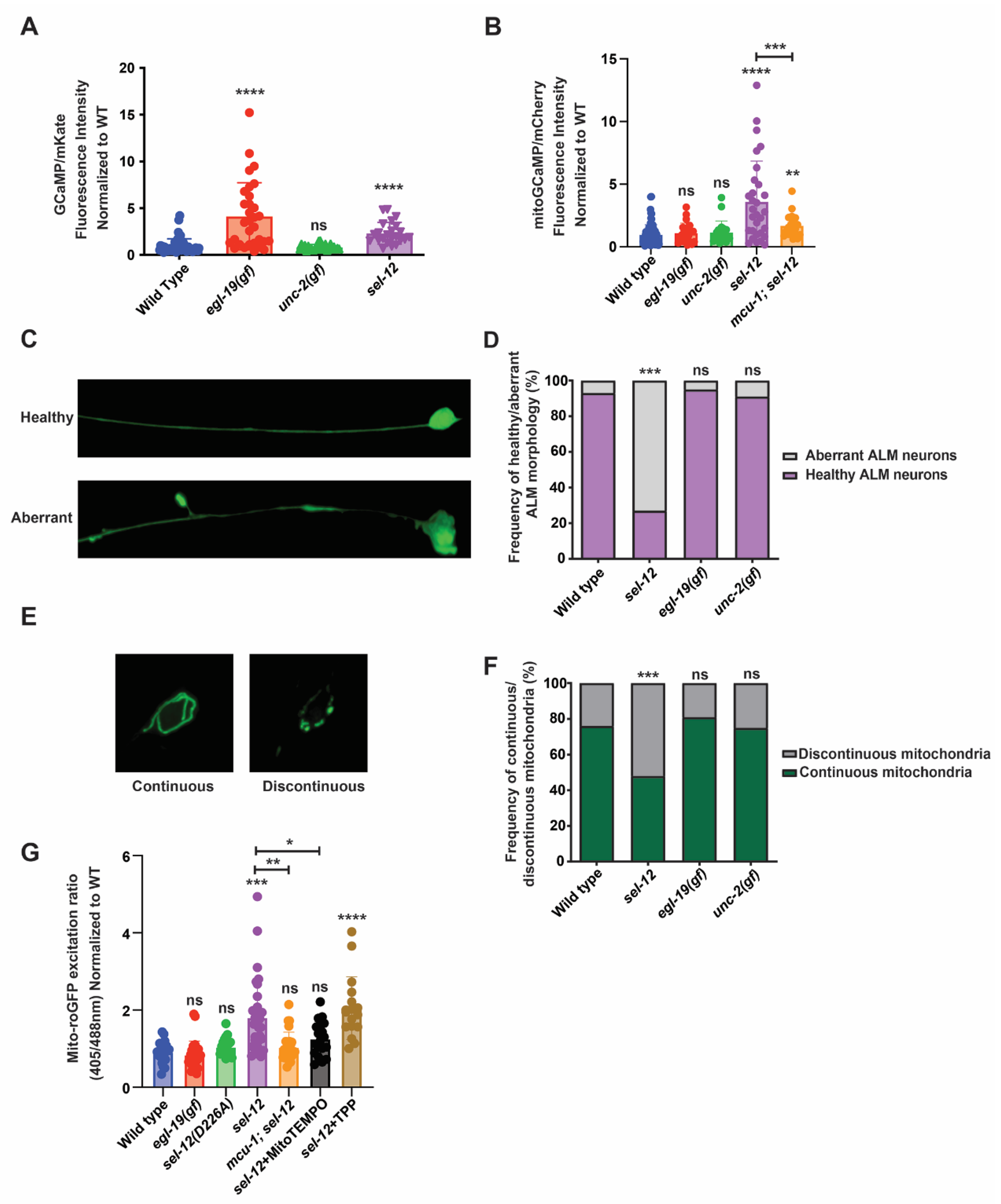 Antioxidants 11 01642 g001