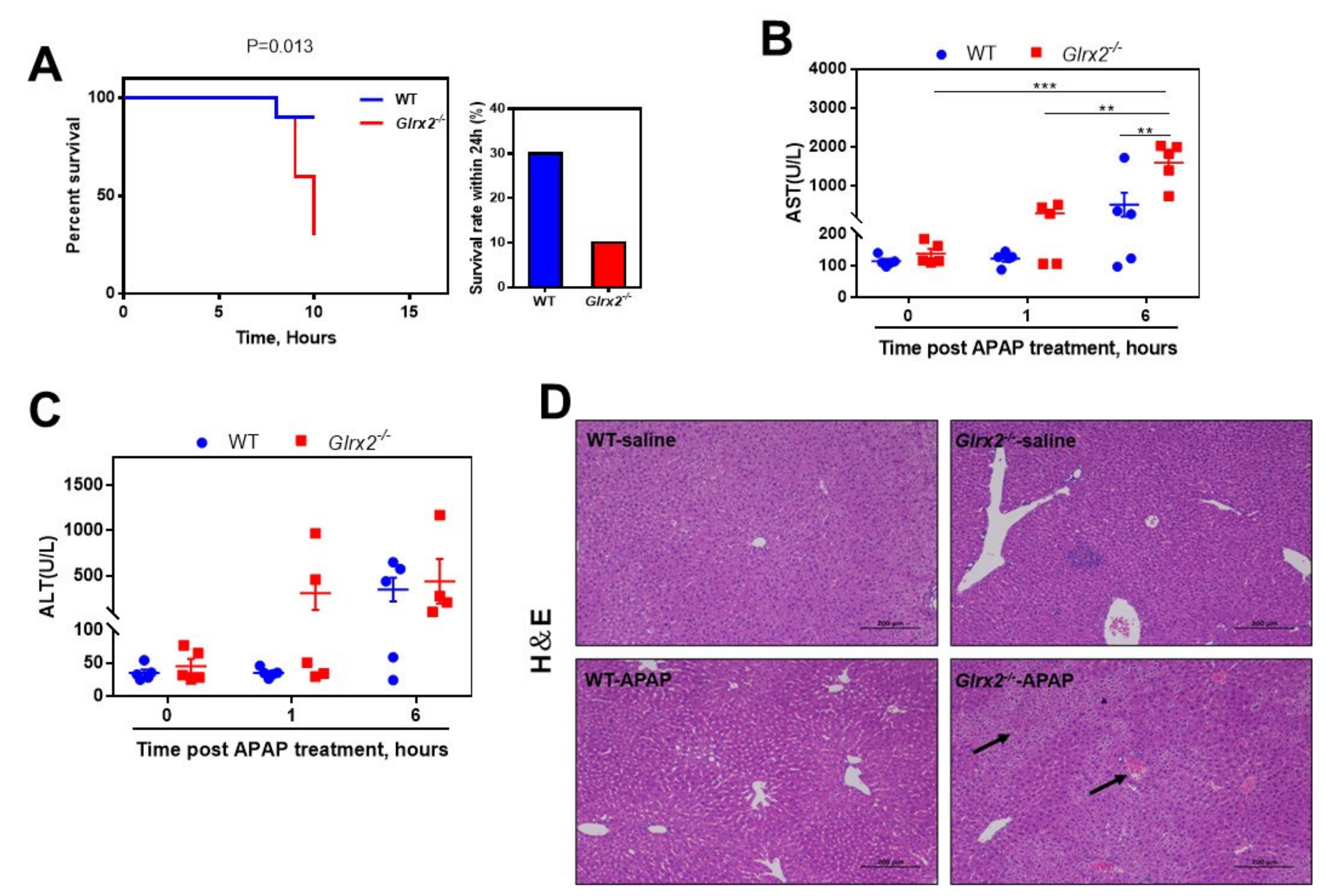 Antioxidants 11 01643 g001