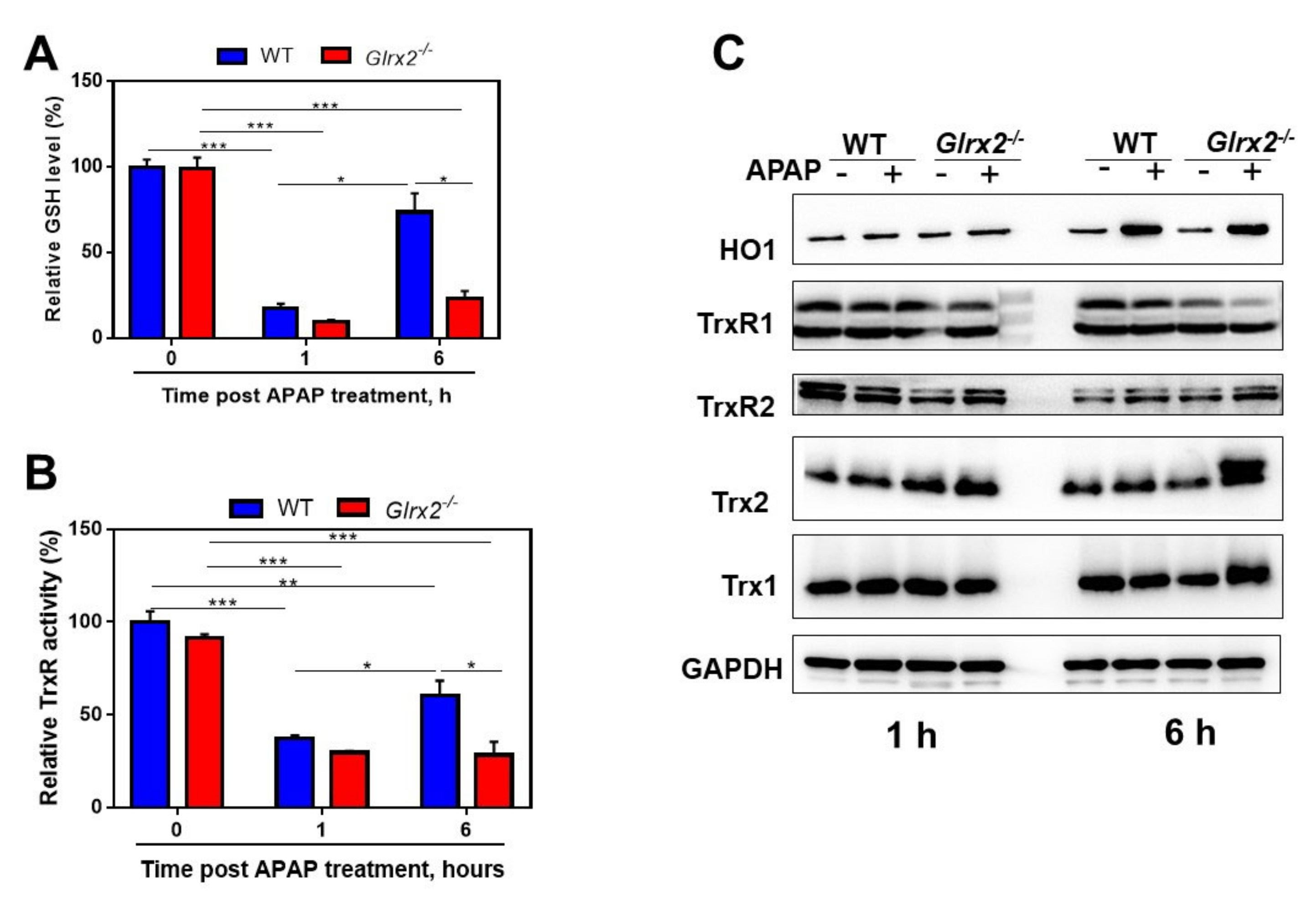 Antioxidants 11 01643 g002