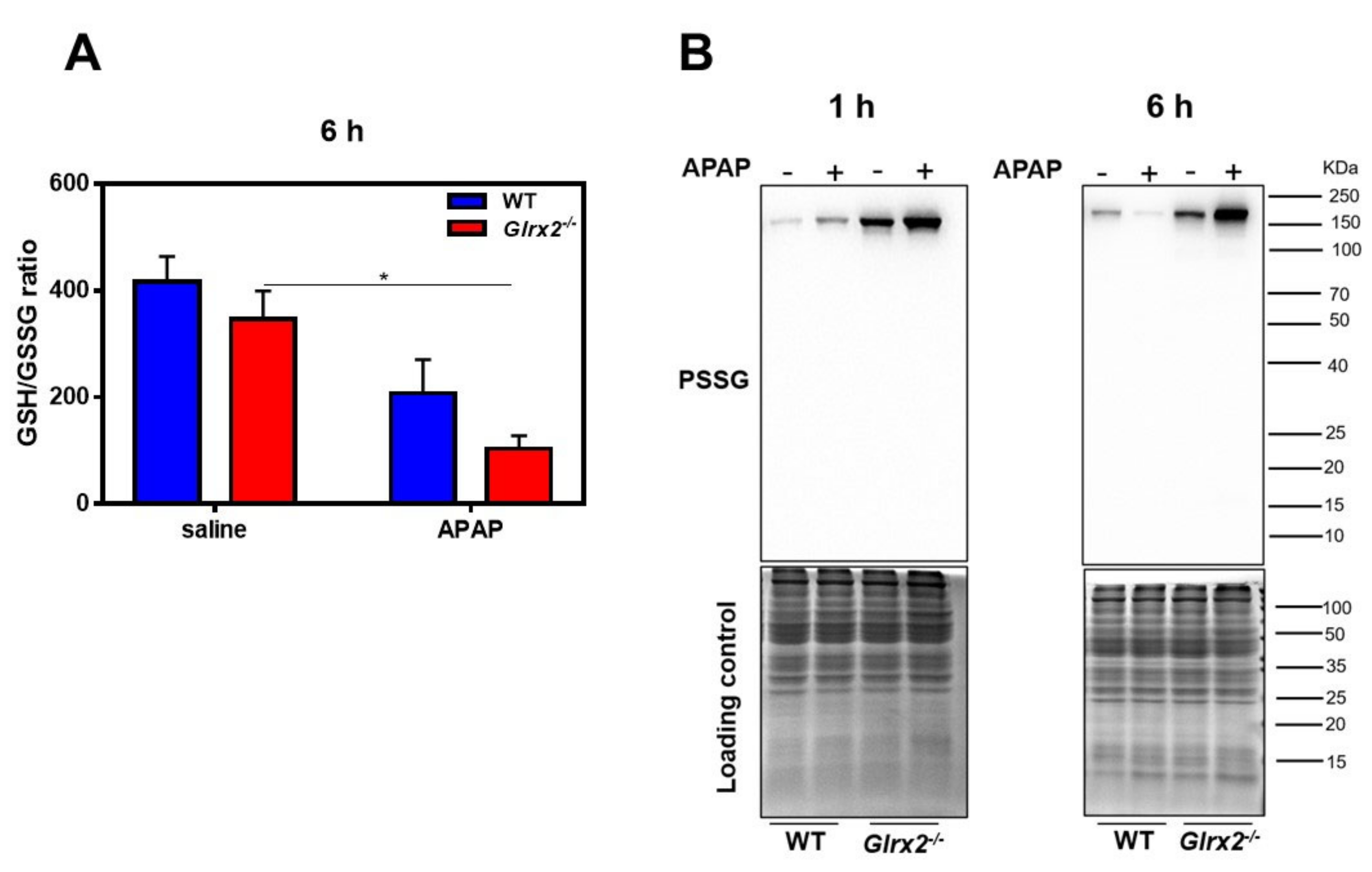 Antioxidants 11 01643 g003