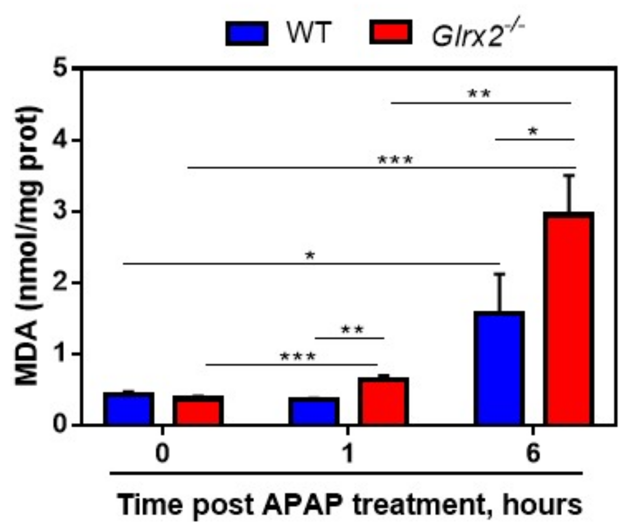 Antioxidants 11 01643 g006