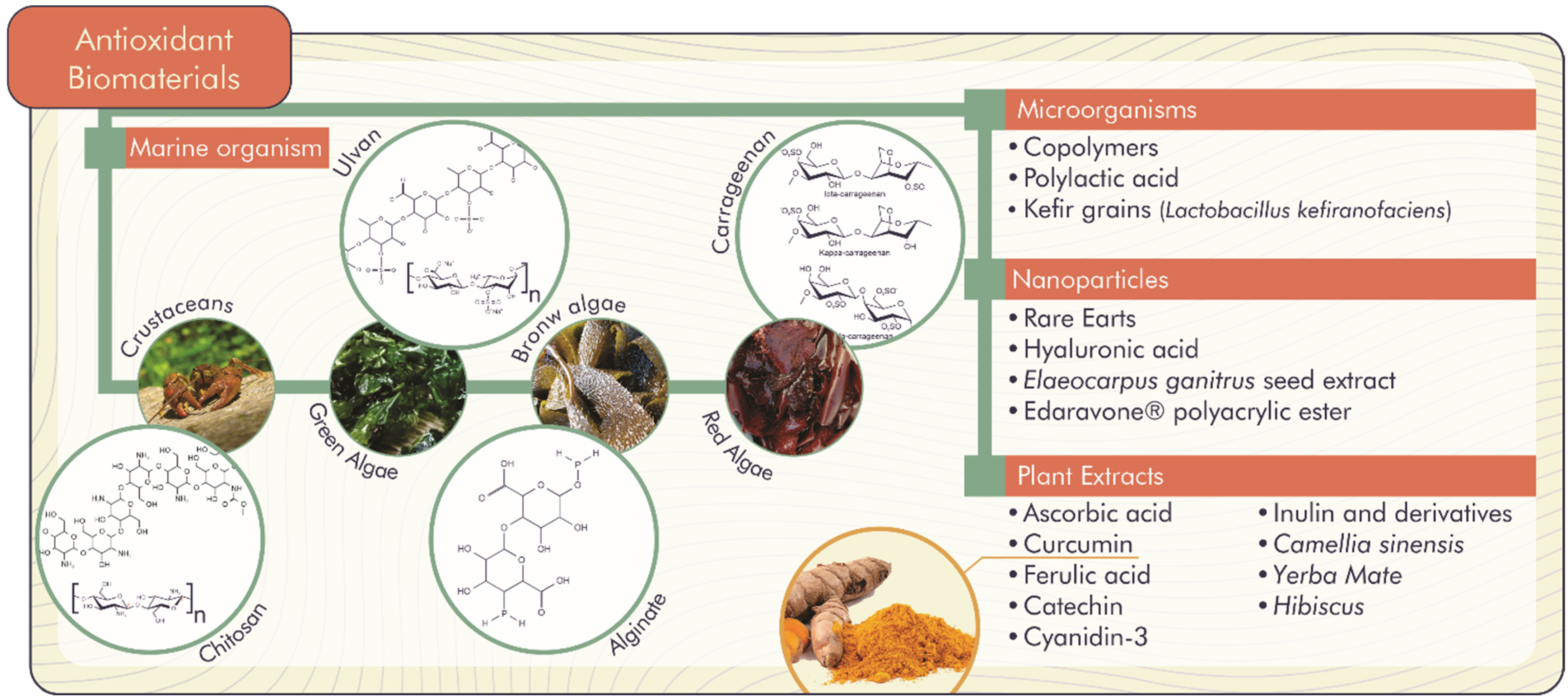 Antioxidants 11 01644 g003