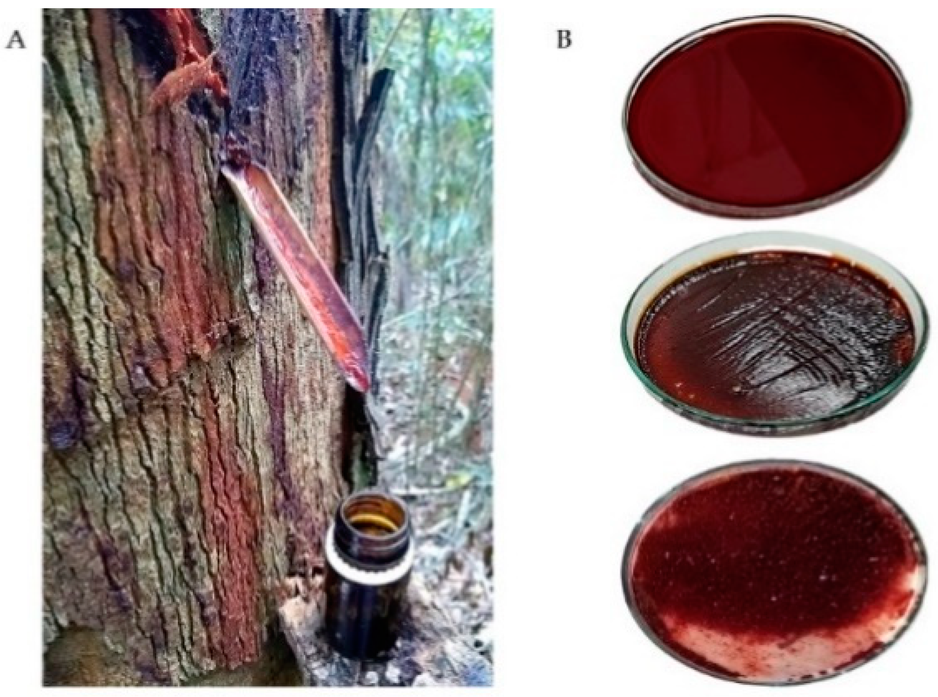 Antioxidants 11 01647 g001
