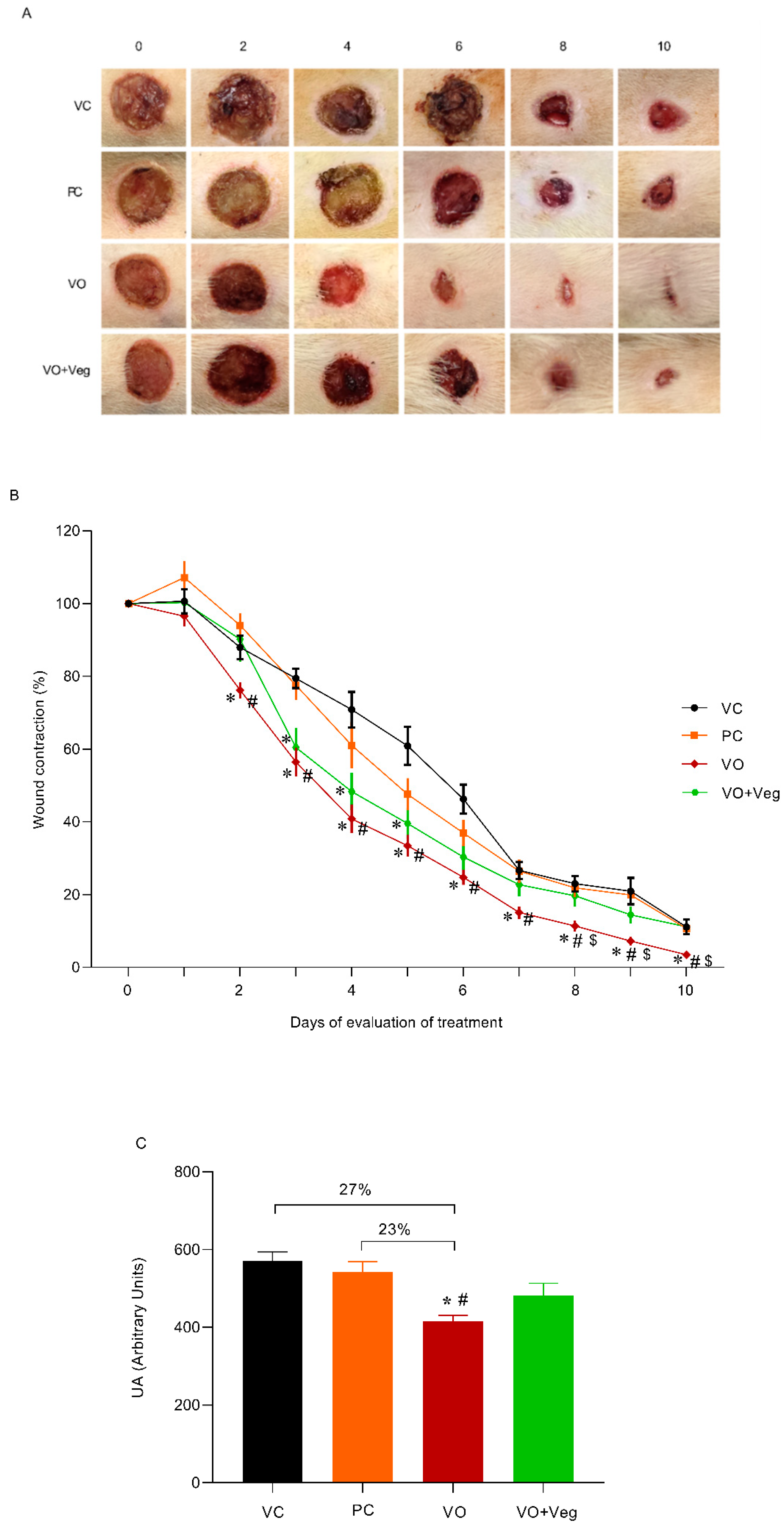 Antioxidants 11 01647 g003