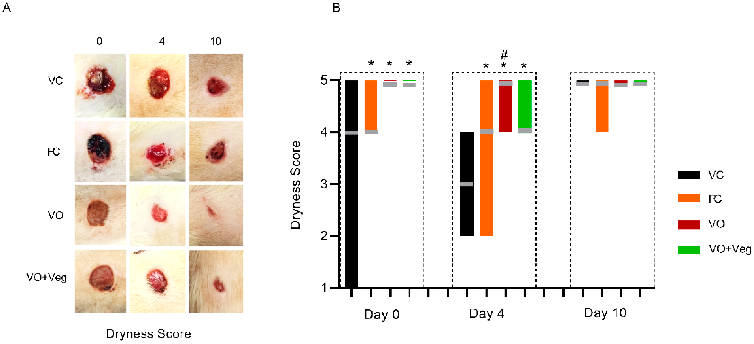 Antioxidants 11 01647 g004