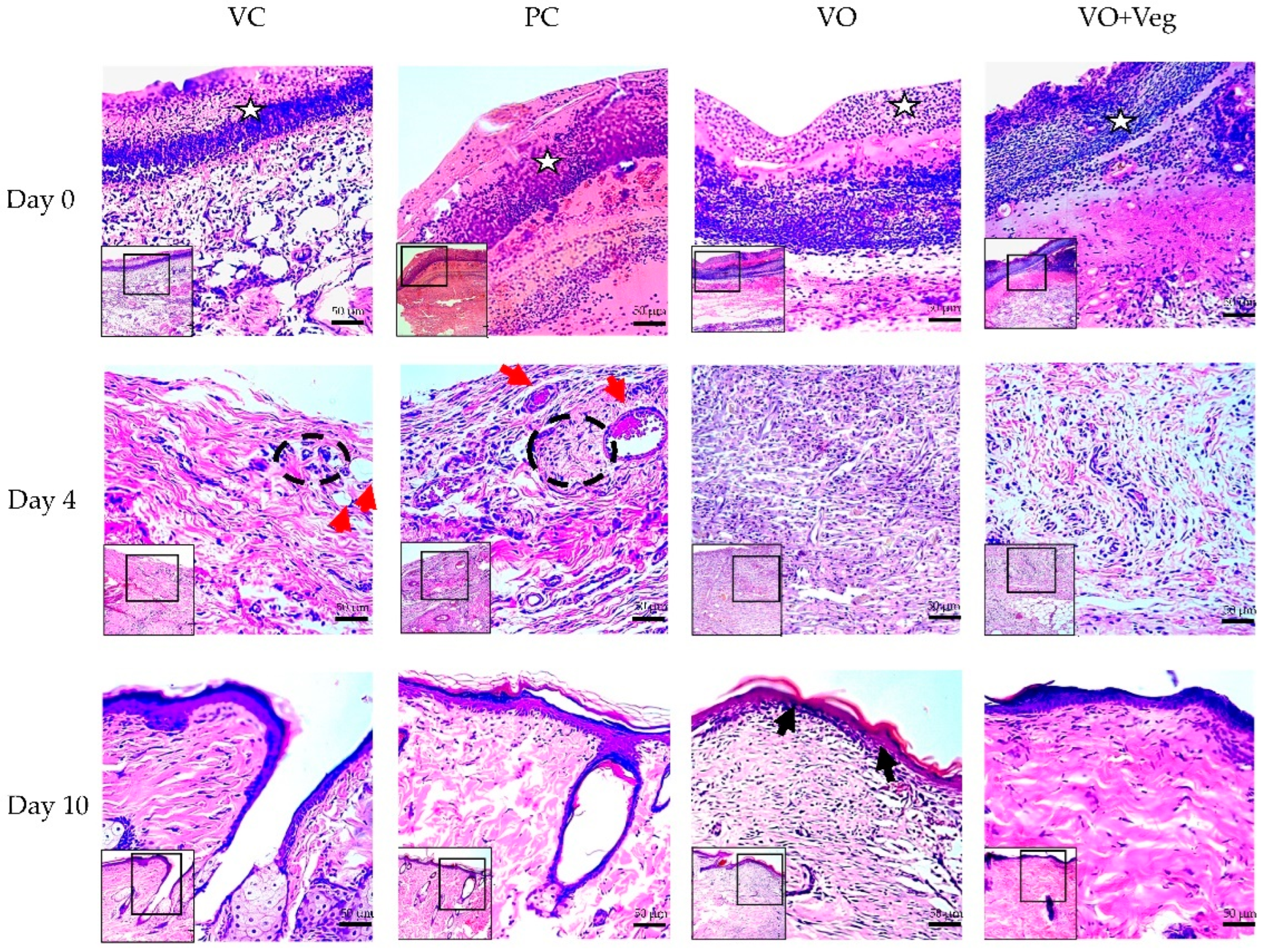 Antioxidants 11 01647 g007