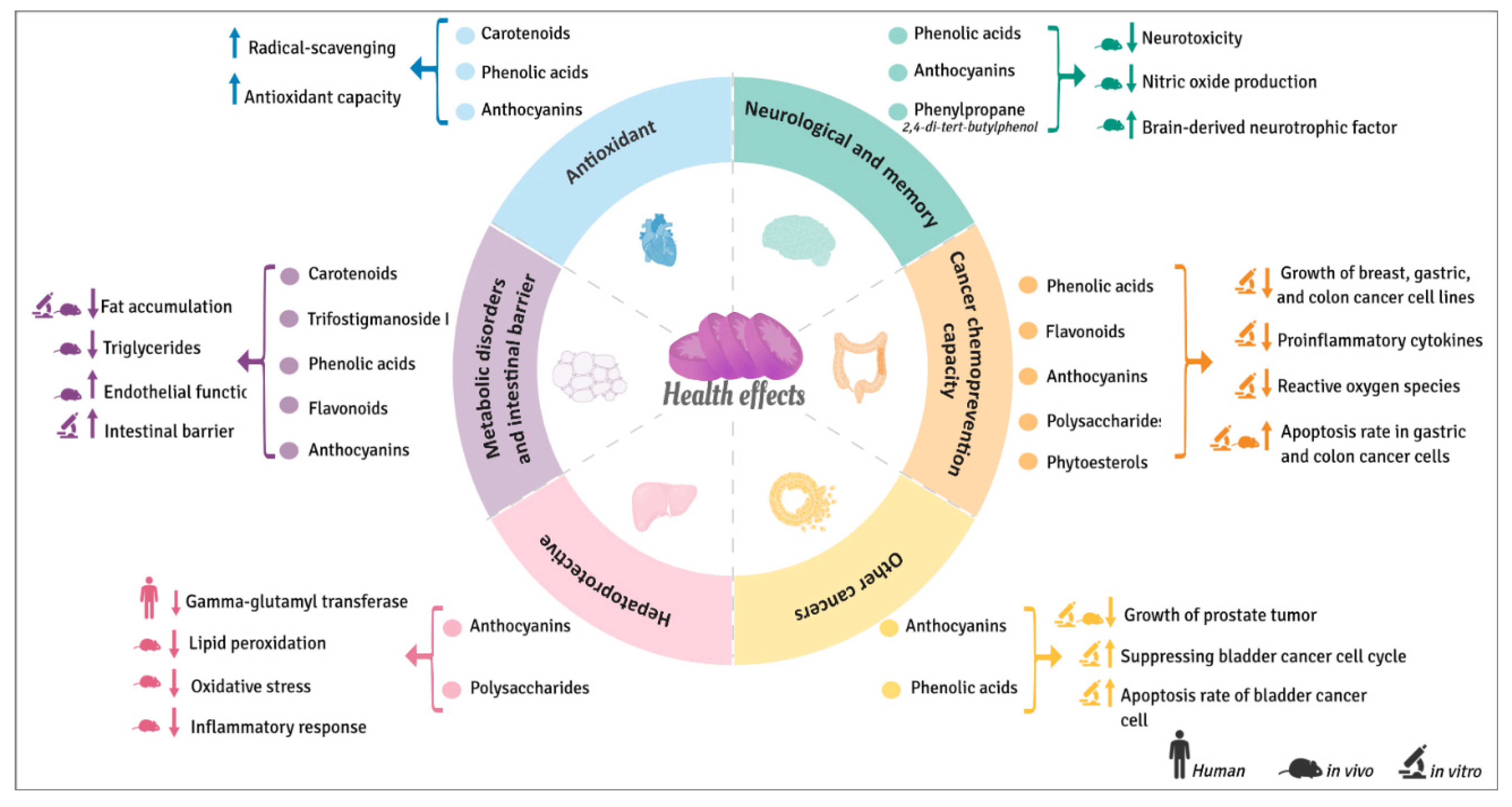 Antioxidants 11 01648 g006