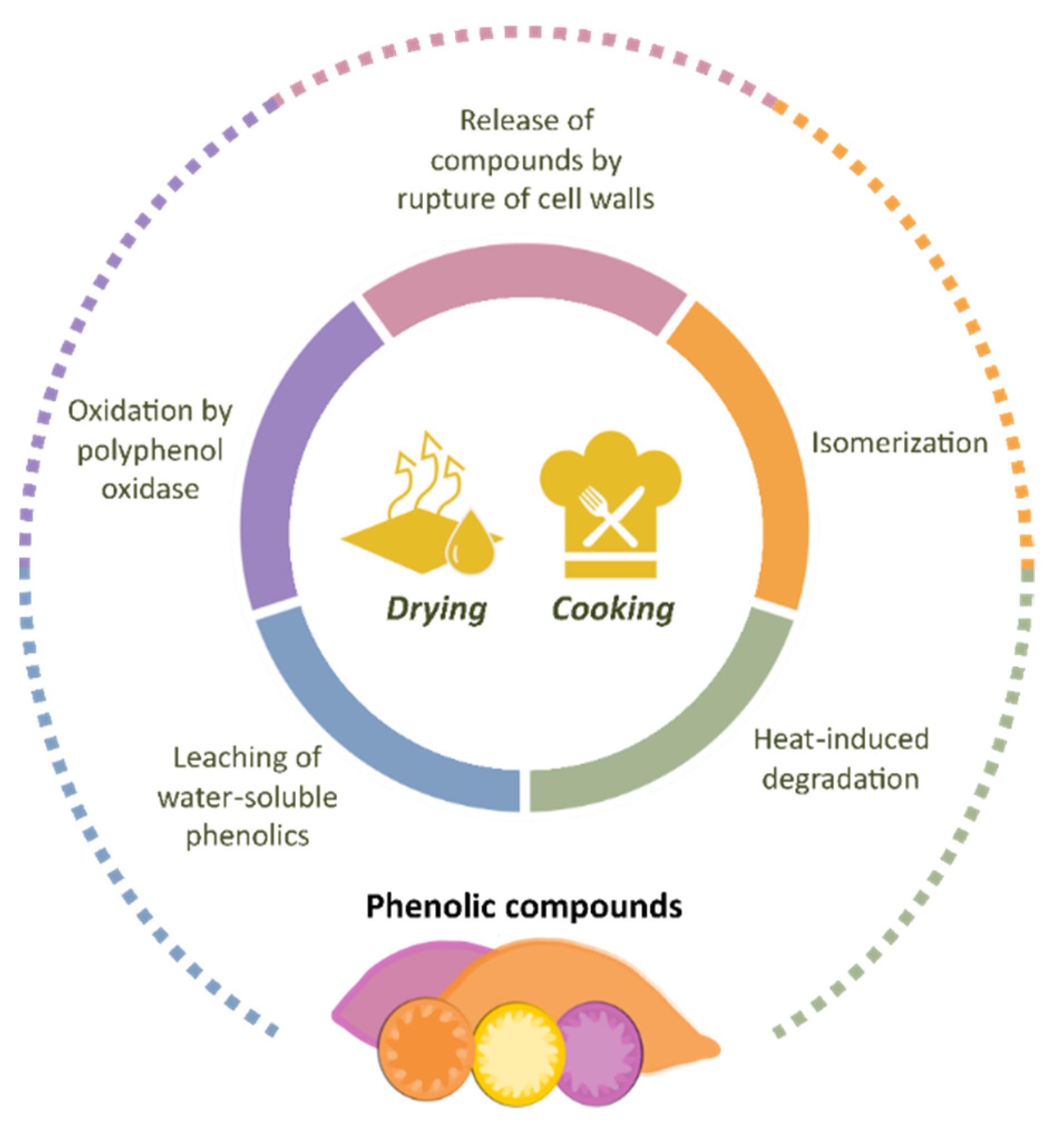 Antioxidants 11 01648 g007