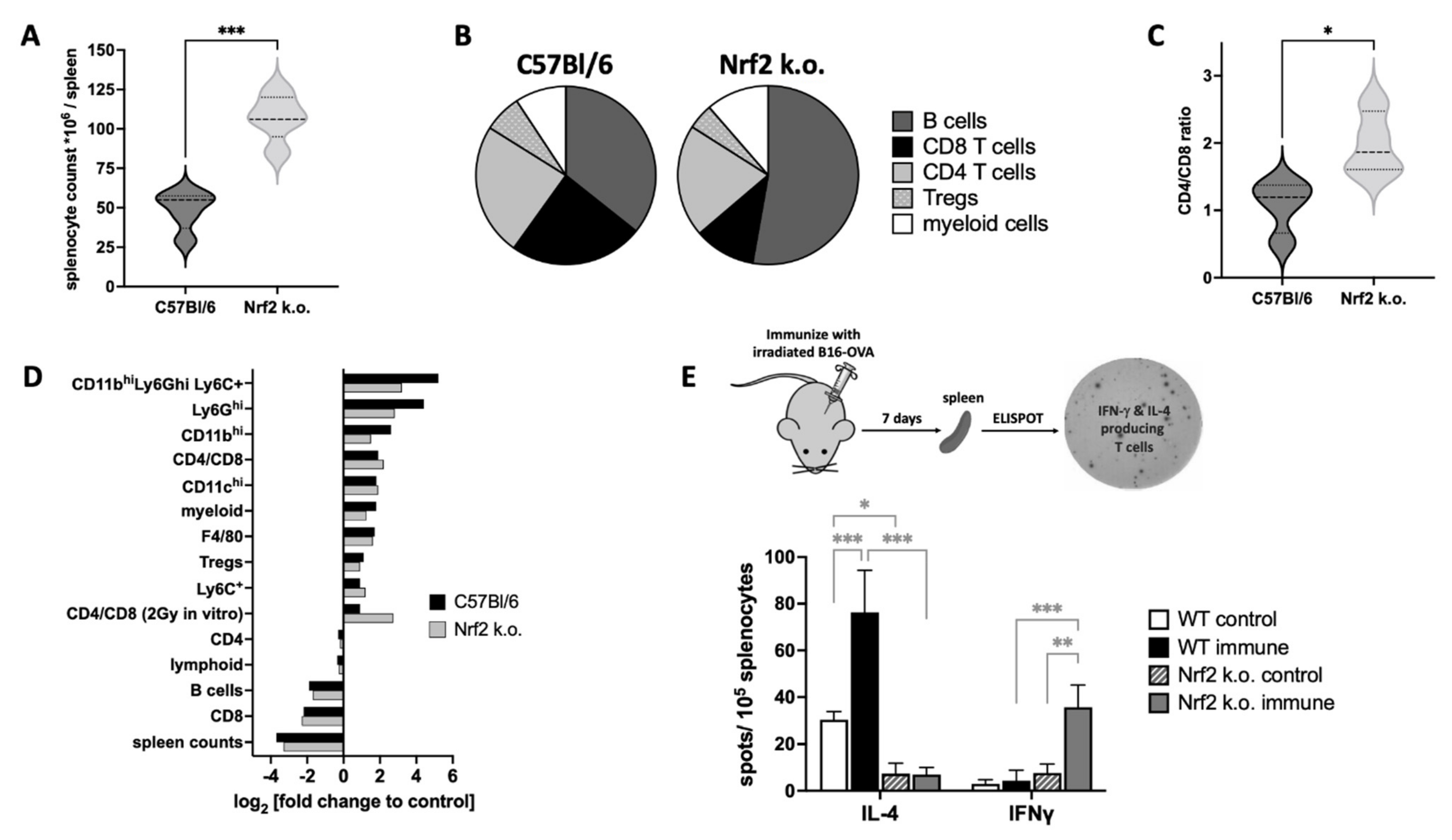 Antioxidants 11 01649 g003