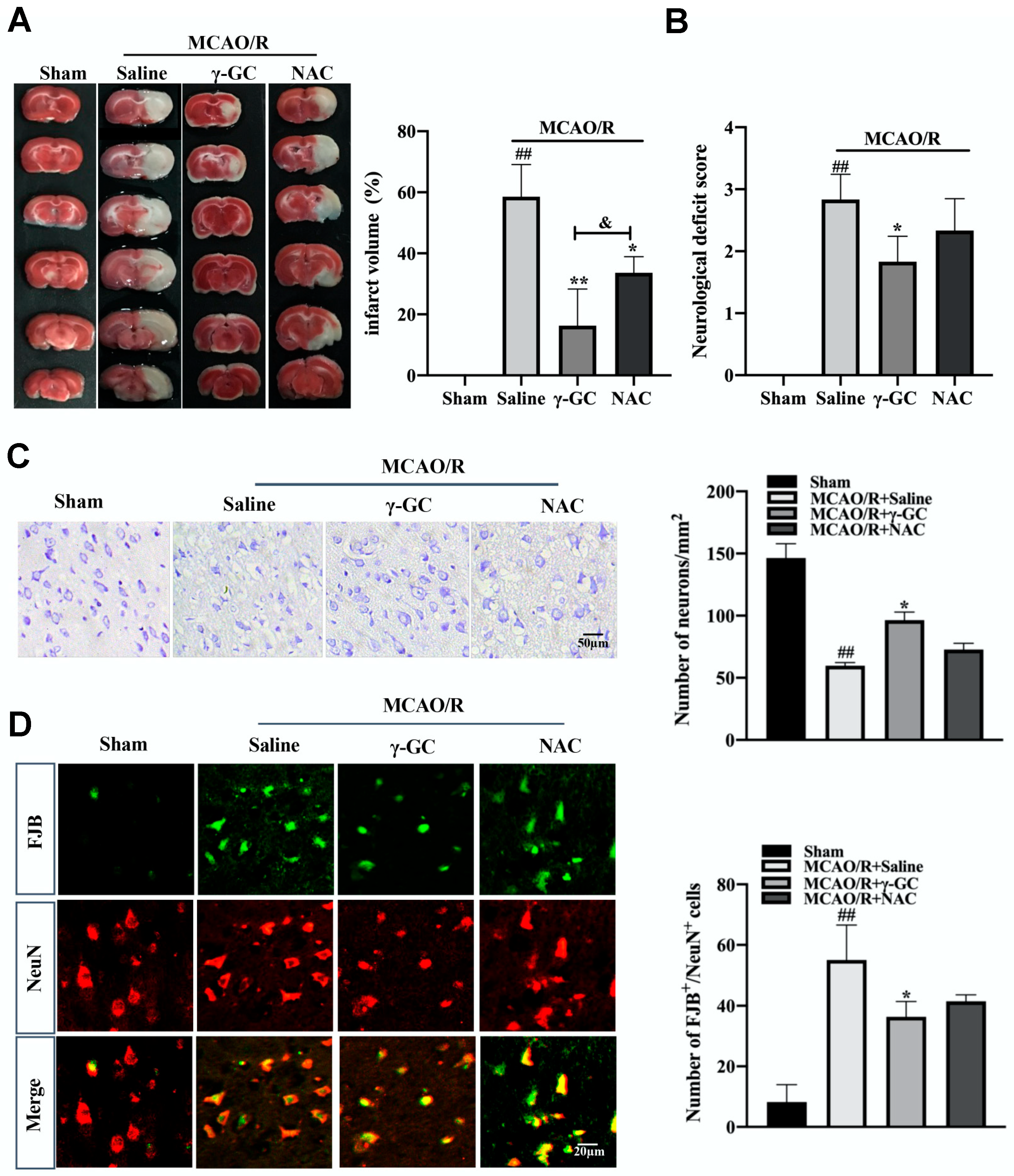 Antioxidants 11 01653 g001