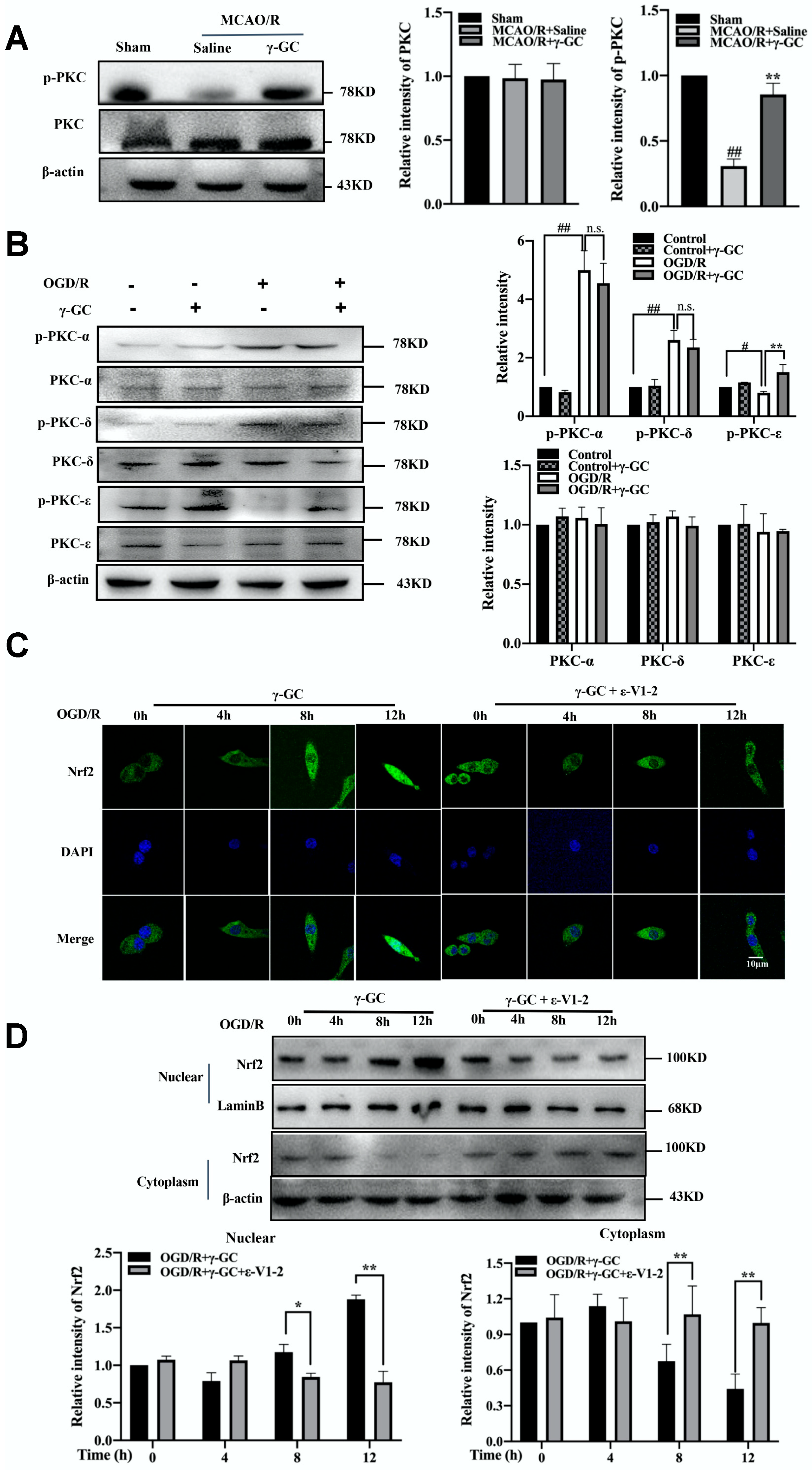 Antioxidants 11 01653 g007