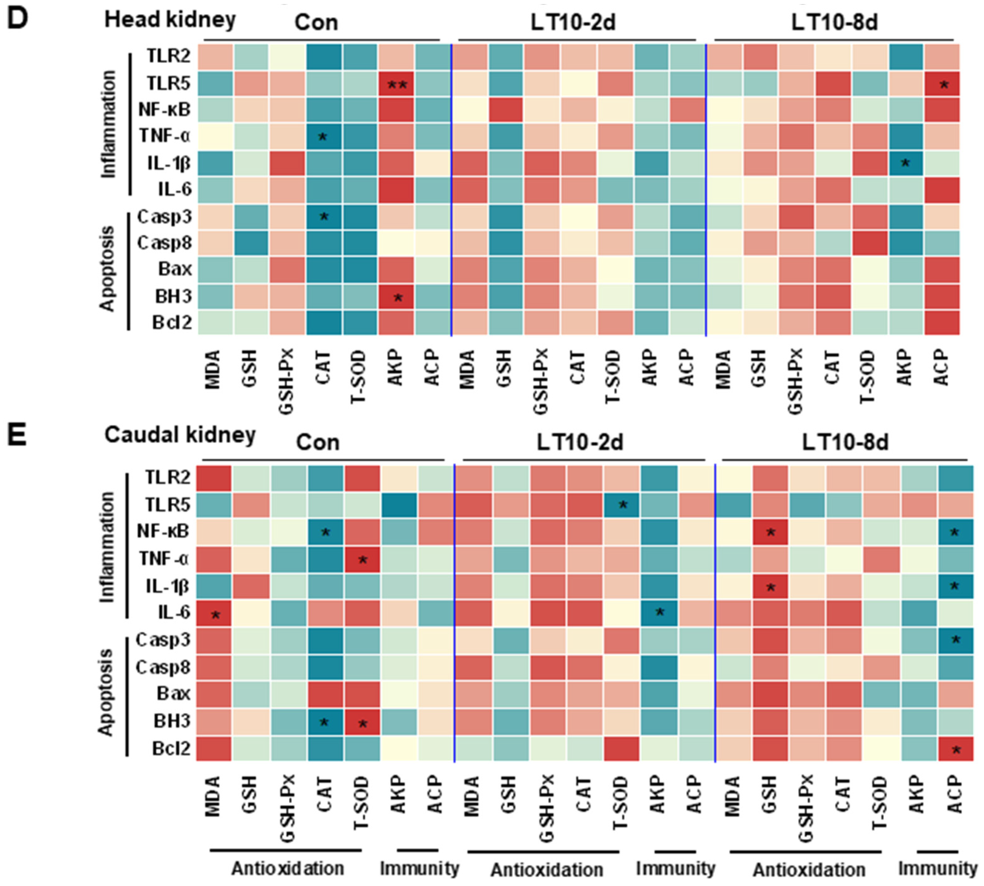 Antioxidants 11 01657 g007b