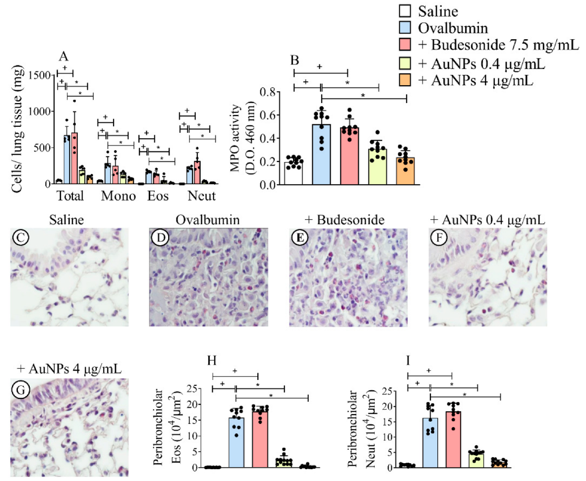 Antioxidants 11 01659 g002
