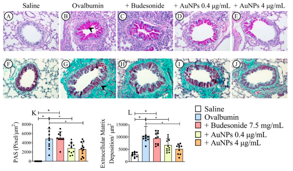 Antioxidants 11 01659 g003