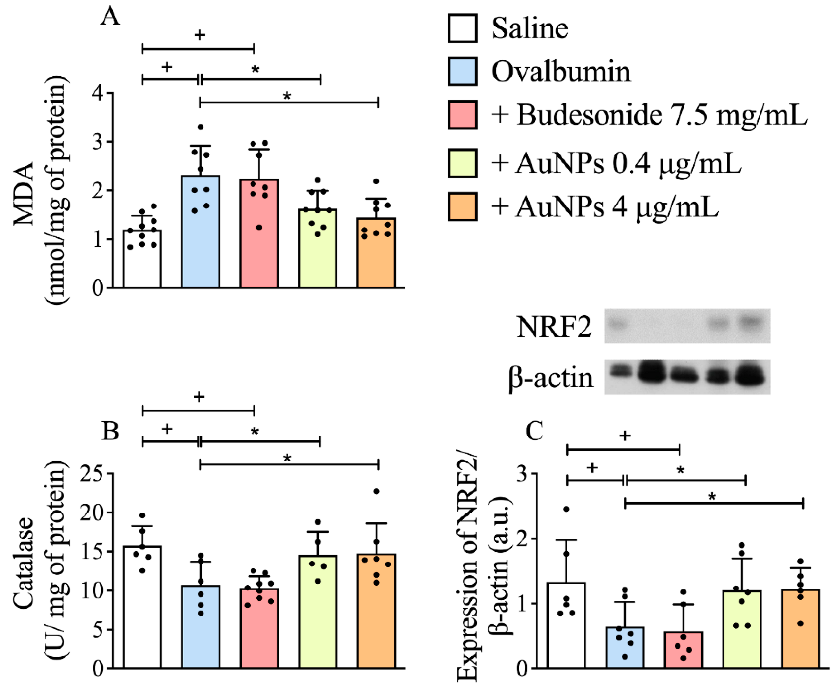 Antioxidants 11 01659 g005