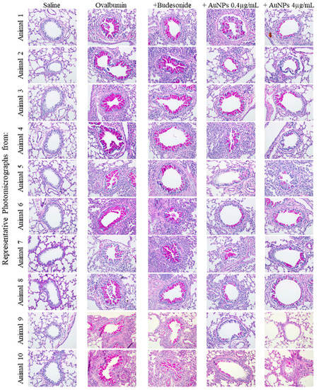 Antioxidants 11 01659 g0a2