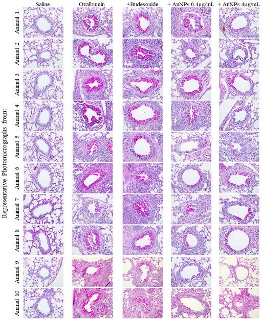 Antioxidants 11 01659 g0a2