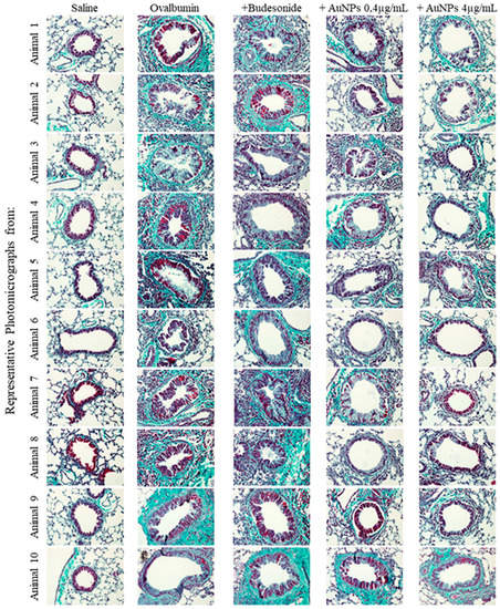 Antioxidants 11 01659 g0a3