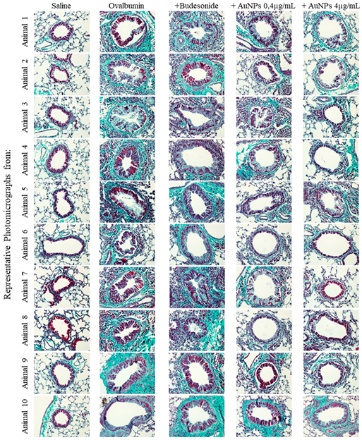 Antioxidants 11 01659 g0a3