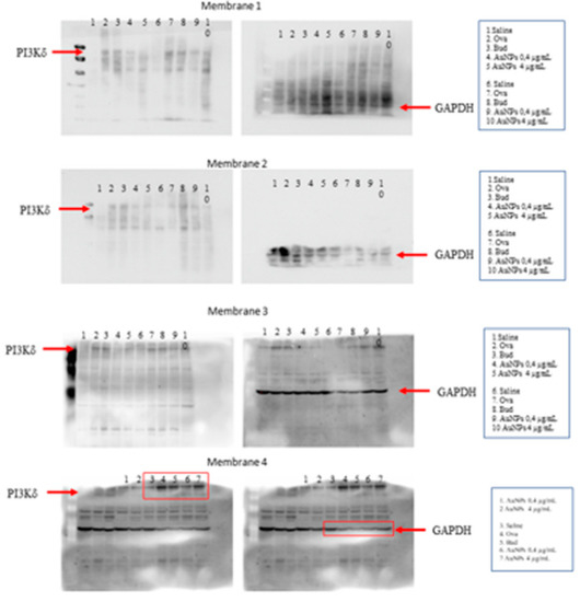 Antioxidants 11 01659 g0a5