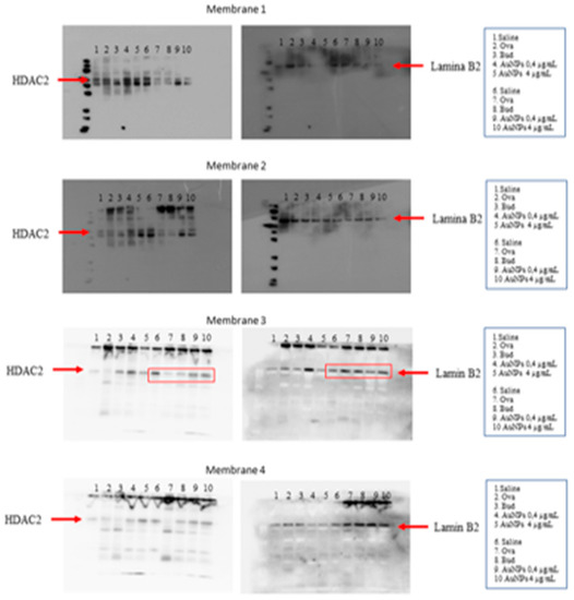 Antioxidants 11 01659 g0a6