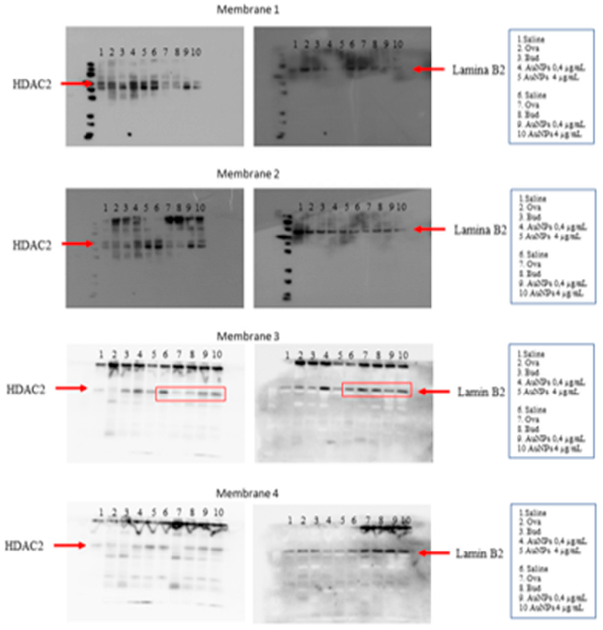Antioxidants 11 01659 g0a6