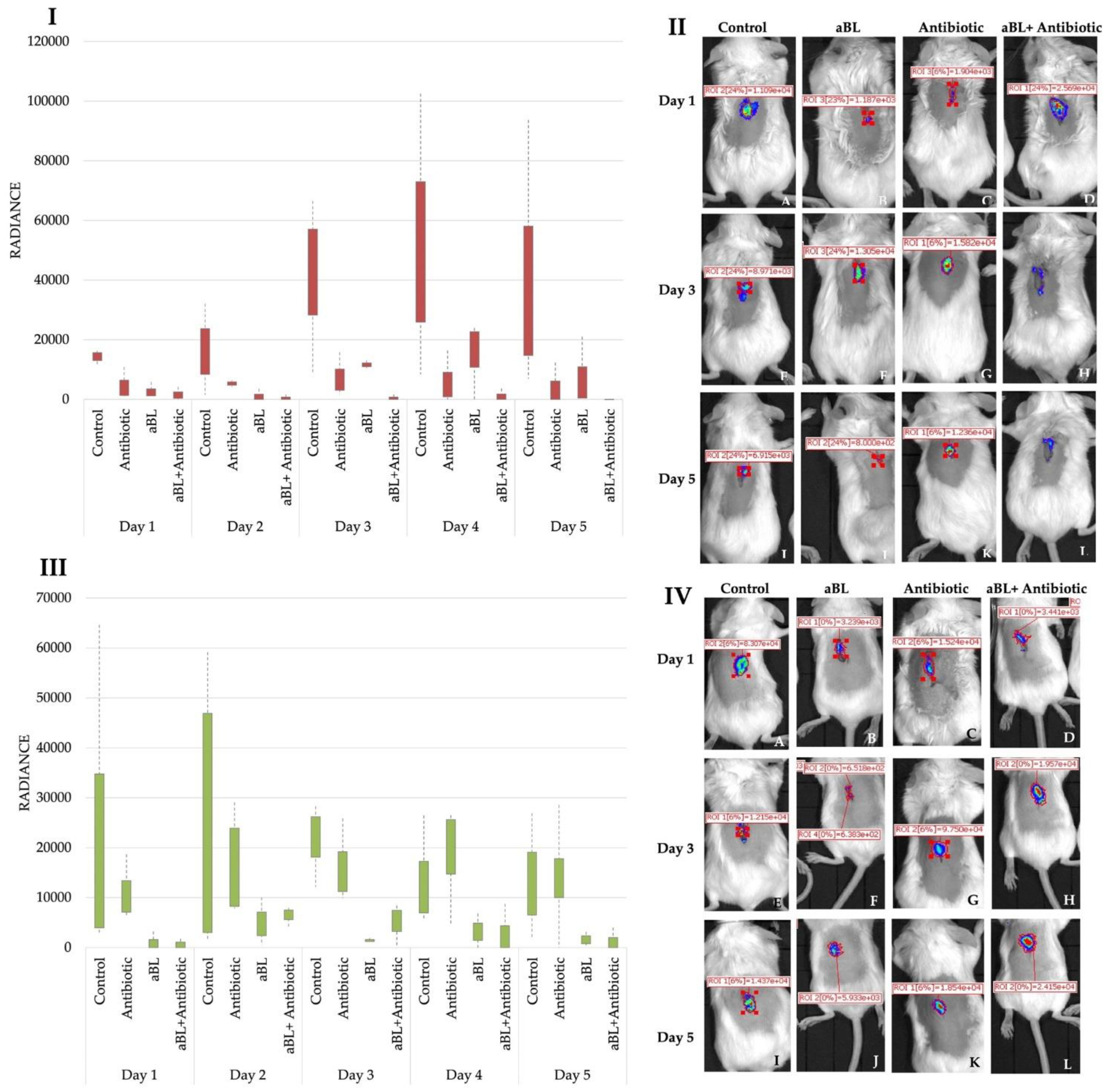 Antioxidants 11 01660 g008