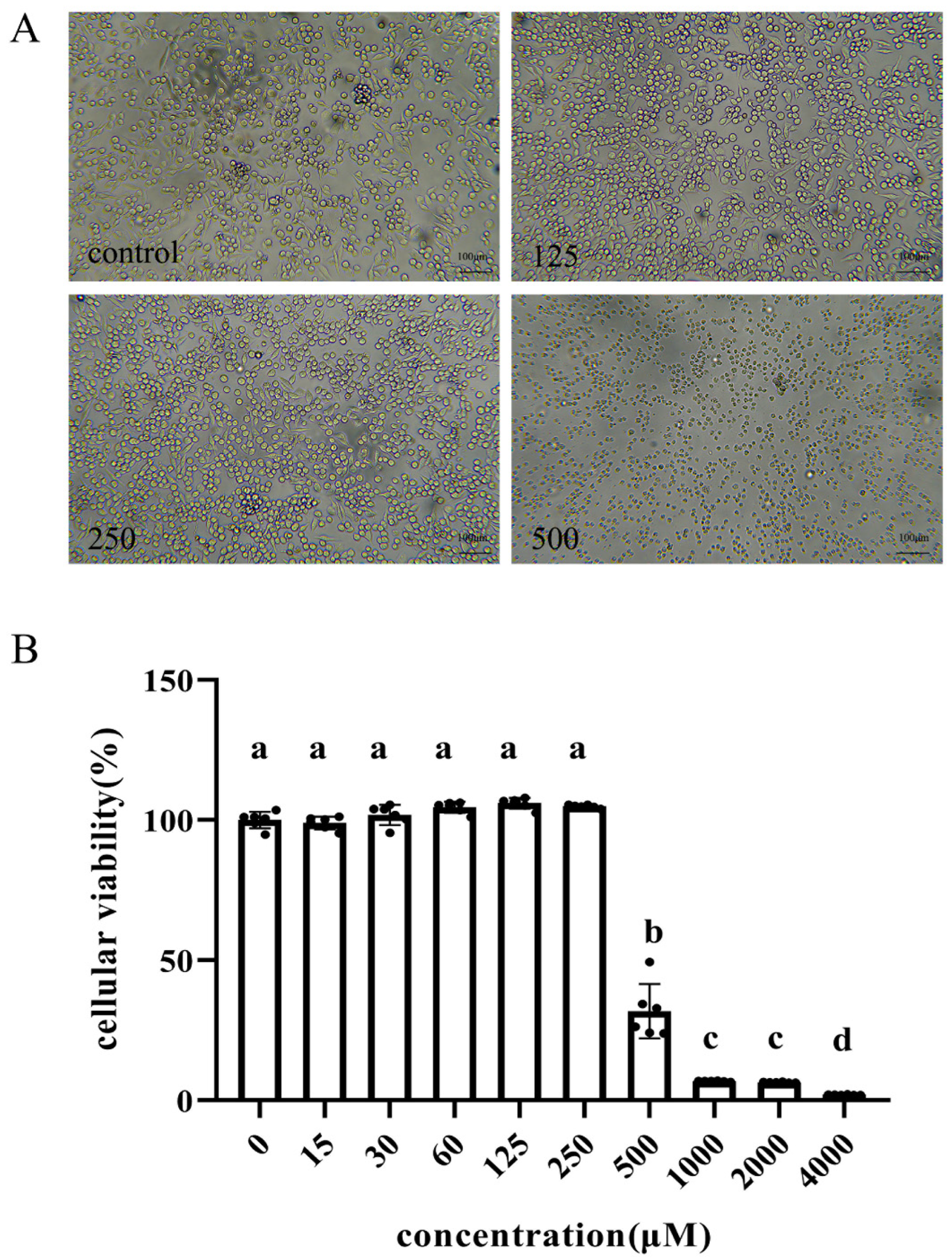 Antioxidants 11 01662 g001 Antioxidants 11 01662 g001