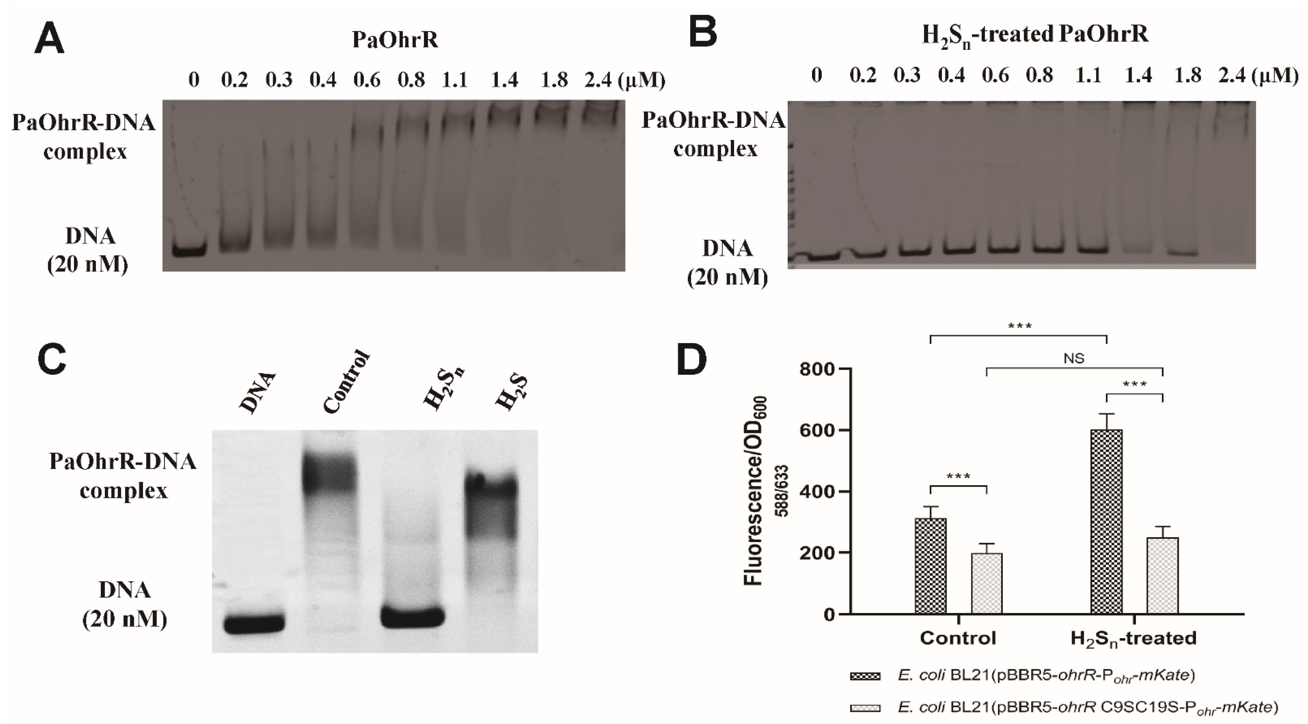 Antioxidants 11 01667 g001
